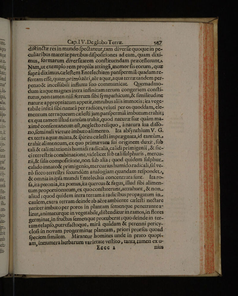 Q)n- US. mij ifs d faf undi fin- lare ilu Qn. Yt |dui- ftt, $0) do (uU [ite uu uE murasapEVaDegloboEerne. —..;- 987 diftinttz resin mundo fpedtantur,cam diverfz quoquein pe- culiaribus materiz partibus difpofiriones ad eam, quam dixi- mus, formarum diverfitatem conftictuendam pracefferunc Nam,utexemplo rem propius atcinga,memor fis corum , qua füprà diximus,czleftem Entelechiam panfpermià quadam re- fertam efle, quam primÓaéri aér aquaz;aqua terre tandem per- peuuo&amp; inceflàbili influxu fuo communicat. Quemadmo- dum itaque magnes incra infinitamrerum congeriem confti- tutus,nen tamen;nifi ferrum fibi fympathicuni,&amp; fimilitudine natura appropriatumappetit,omnibus aliis immotis; ira vege- cabile infit fibizauá perradices,veluti per.os quoddam, ele- mentum terraqueum czllefti jam panfpermiá imbutumarahit; exqua camen illud tantüm rahit,quod naturz fuz quàm ma- ximéconfíentaneum eft,neglecto reliquo , à natura fua diflo- no,(eminali virture imbutoalimento. lta abfynthium V. G. exterraaqua mixta,&amp; fpiritu calefti imprzgnata,id tantum.» trahitalimentum, ex quo primzevam fui originem duxit , fub cali &amp; cali mixtionis humidi radicalis,calidi primigenii ,&amp; fic- citerreftriscombinacione, videlicet fub califulphuris , mercu- rii,&amp; falis compofitione,non fub alia; quod quidem fülphur. calido innato&amp; primigenio,mercurius humidoradicali,fal ve- rÓ ficco terrefkri fecundüm analogiam quandam refpondeu, &amp; omnia inipfà mundi Entelechia concentraraífunt. — Itaro- (àjita peconia,ita pomus,ita quercus &amp; fagus, illud fibi alimen- tum proportionatum,ex quoconftierunt;accrahunt ,&amp;non. aliud ;quod quidem intra terram à radicibus propagatum in., caulem,extra terram deinde ab a&amp;reambiente czlefti nectare parirerimbuto per poros in plantam femenque penetrantea- litur,animaturque in vegecabile,diftenditur in ramosjin flores germinat,in fructus femenque protuberat; quo deindein ter- tamrelapfo,putrefactoque, mirá quàdam &amp; perenni pericy- clofi in novam progerminac plantam, priori proríus quoad fpeciem fimilem. | Mirantur homines unde in praco quopi- am,innumera herbarum varietate veítito , tanta, tamen ex u-