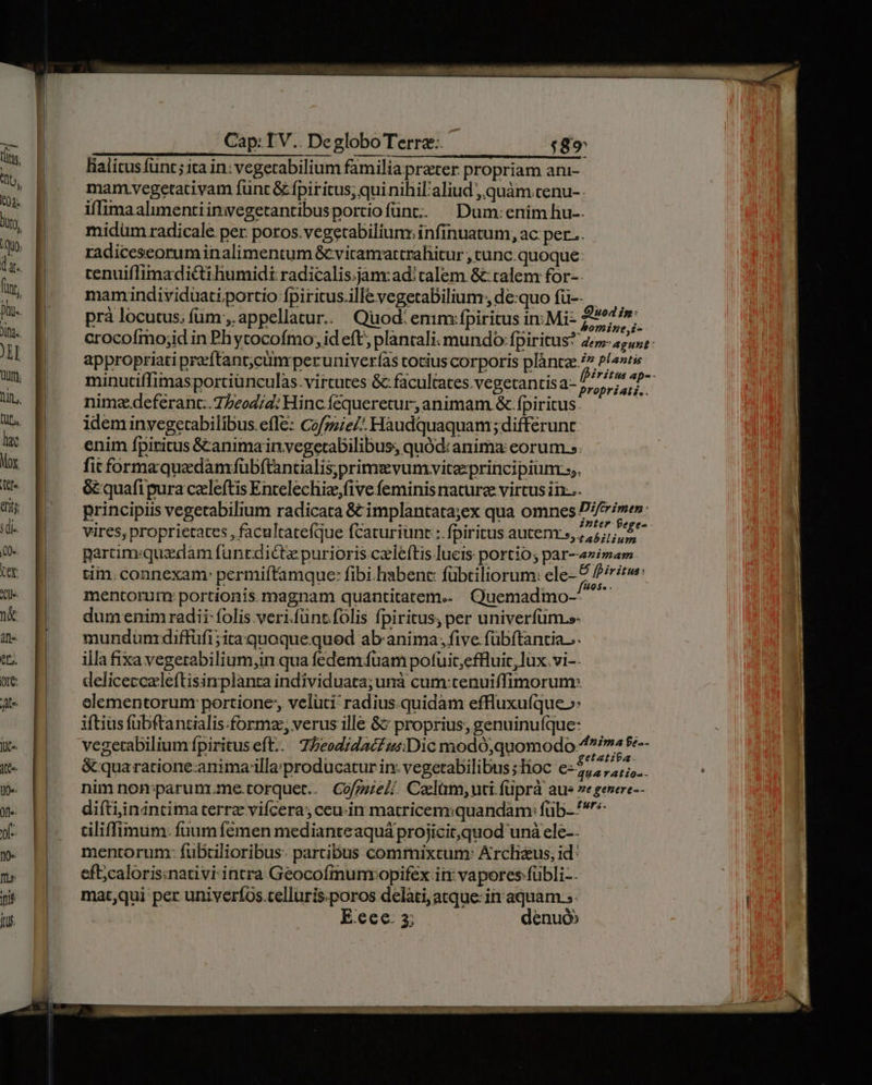 lialitus funt; ita in: vegetabilium familia prater propriam ani- manm.vegetativam funt &amp; fpir itus; qui nihil'aliud ;,quàm.cenu-. iffimaalimentiinwegetantibusportiofünt; — Dum: enim hu-. midüm radicale per poros.vegetabiliun infinuatum, ac: per... radiceseoruminalimentum &amp;vicamartrahitur , tunc. quoque cenuiffimadicti humidi radicalis.jam:ad!calem &amp;: talem for-- mamindividuati portio fpiricus.illevegetabilium, de:quo fü-- — prà locutus; fum ,. appellatur. Quod. emm: fpiritus in: Mi- Jedi crocofmo;id in Phytocofmo, id eft plantali. mundo: fpiritus? 2/5255; : appropriati preeftant;cünrperuniverías tocius corporis plàntze 7 Plast minuciffimasportiünculas.virtutes &amp;:facultates.vegetantis a- Lio M nimz.deferant..7/eod;4; Hinc fequeretur, animam &amp; fpiritus idem invegetabilibus.efTe: Co/zzie/: Hàudquaquam; differunt enim fpiritus &amp;anima invegetabilibus, quód: anima: eorum». fit formaquedamfübftantialis;primsvumyviteprincipium.;,. &amp; quafi pura czleftis Entelechiz,five feminis nature virtus in... principiis vegetabilium radicata &amp; implantatajex qua omnes Rss vires, proprietates , facultatefque fcaturiunt : fpiritus autenrs, 2,57, parcim:quadam funtcdictz purioris cxleftis lueis portio; par-avimam tim.connexam: permiftamque: fibi habenc fübtiliorum: ele- 2 frr mentorum: portionis magnam quantitatem. Quemadmo- dumenim radii folis veri.fünt folis fpiritus, per univerfüum.s- mundum diffüfi;itaquoquequed ab:anima, five fübftantia... illa fixa vegetabilium,in qua fedem fuam pofuit,effluit, lux.vi-- deliceccaleftisinplanta individuata;unà cum:cenuiffimorum: elementorum portione, velüti? radius.quidam effluxufque»: iftius fubftancialis.formz verus ille &amp; proprius; genuinufque: vegetabilium fpirituseft.. ZbeodidacZusDic modo,quomodo 4^/m« $e-- &amp; quaratione-anima'illa;producatur in. vegetabilibus ; Toc Cia ean nim non:sparum.me.torquet.. Cofgze/: Calüm, uti. füprà aue vegenere-- difti;inantima terre vifcera; ceu-in matricem:quandam: füb- tiliffimum. fuum femen medianteaquá projicitquod unà ele-- mentorum: fubtilioribus. partibus commixcum: Archi&amp;us, id: eft;calorisinativi intra Geocofmumropifex iir vapores-fübli-. mat,qui per univerfos.tcelluris.poros deláti, atque: in aquam. Ecce: 5; denuo