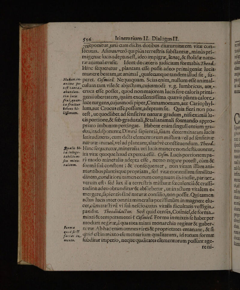 enime po- te LAEA. f'áquan- t4 inSege- tabziium: Forma quid fi pen pina hin faf naci Tabie ifr frent tisad. Tali duxo eun Dropr diver duy. Tümy doc fran