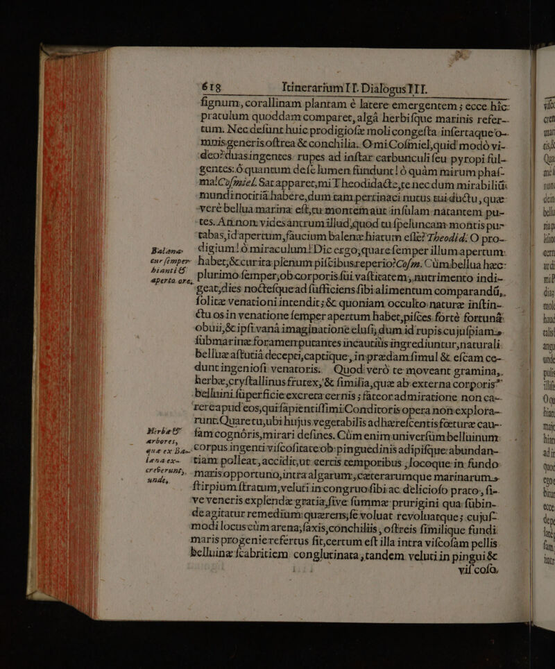 fignum, corallinam plantam é latere emergentem ; ecce hic- praculum quoddam comparet, algà herbifque marinis refer. tum. Necdefunt huic prodigiofz moli congefta infertaque'o-. muisgenerisoftrea &amp; conchilia..O miCofmiel,quid modó vi-. deo?duasingentes: rupes ad inftar carbunculi feu pyropi ful- gentes. óquantum defc lumen fündunt! Ó quàm mirum phaf- ma!Cuf/zzzel. Sarapparet;mi T heodidadte te necdum mirabilis: mundinotiriá habere, dum tam perrinaci nutus tui düctu , que veré bellua marina: eft;ru monteiaur infülam-nátantem pu- tes. An.nom videsancrumillud;quod cu (peluncam montis pu- tabas,id'apertum;faucinm balenz hiatum efle? 75eodi4d; O pro- Base igium!ó miraculum/Dic ezgo;quare femper illuma percum- enr femper: habet;&amp;curita plenum pifcibusreperio?Co/zz. Cümibellua hec- m 2 plurimo f&amp;mper;ob.corporisfüi vaíticatem nutrimento indi- 'geat;dies nocteíquead füfficiens fibialimentum comparandá,. folitz: venationi incendit; &amp; quoniam occulto nature inftin-- &amp;uosin venatione femper apertum habet,pifces.forté fortuná: obuii,&amp; ipfivanà imaginatione elufi; dum id rupiscuju(piam:s. fübmarine foramerputantes incautiüis ingrediuntur, naturali belluz aftutiá decepti,captique, in predam fimul &amp; efcam ce- duntingenioft venatoris. Quodiveró te moveant gramina, herba cryftallinusfrutex;&amp; fimilia,qua abrexterna corporis^ bellnini füperficieexcrera cernis ; facoradmiratione non ca-- rercapiud eos;qui fapientiffimiConditoris opera nomnexplora-. runt.Quaretu;ubi hujus vegetabilis adlizerefcentis foeturae cau-- acte famcognóris mirari defines. Cm enimuniverfümbelluinum: qne ex a.. COrpusingenti-vifcofitateob:pinguedinis adipifque:abundan- i«»aex- tiam polleat, accidir;ut:eercis cemporibus locoque: in fundo: sin dr maris opportuno,intraalgarunr,caterarumque marinarum.». .. ftirpiumítratum;veluri imcongruoffibiac deliciofo prato; fi-. ve veneris explendz gratia;five fümmx:prurigini qua: fübin- deagitatur remedium:quzrens;fe voluat revoluatque ; cujuf-. modi locusctüimarena;faxis,conchiliis , oftreis fimilique fundi: maris progeniercfertus fit,cercum eft illa intra vifcofam pellis belluina fcabritiem: conglutinata tandem veluti in pingui&amp; TUN vif coo.  vifc ae mat tí Qui acl putt dein bell nap lito Gern udi tip di mol hatc tali angi