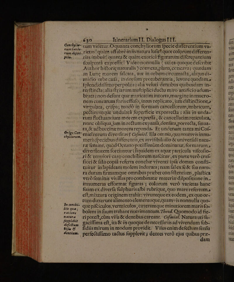 Concbylie- Yumtario:. ptio. Ór igo Cen- ebyl£orum. I2 corchi- liu qua ratione natura fpplesit defetfum $i/us €5 entium, 630 IünerariumII. Dialogus T TY. xum videtur.O quanta conchyliorum fpecie differentium va- rietas! quàm affabre in isnatura lufit! quoc colorum differen- tias irabuit! quanta &amp; quàm exoticá figurarum diftrepancium fculptarà expreflic! Videononnulla ( utiea quoque cefcribic Author hiftorig naturalis ) convexa,plana, concava; quedam in Lung morem falcata, aut in orbem circumadaa , aliqua di- midio orbe czía, in dorfum protuberantia , levore quodam; fplendidiflimoperpolita; alia veluti dentibus quibusdam in- terftinda;alia ftriarum mulciplici ductu miro artificioadum- brata; non defunt que muricatim intorta,margine in mucro- rem cunearum foriseffufo, intus replicato , jam di(tin&amp;tione» virculata, crifpa; modo in formam cancellorum,imbricum, rum flu&amp;uantium morem exprefla , &amp; cancellatimreticulata, nunc obliqua,jam in rectum ex panfa,denfara,porrecaa, finua- ta,&amp; adbuccinz morem repanda.. Et undenam tanta miCof- mielrerum diverfitas ? Cofmziel. Ya o1nnia,quancumvisinnu- meris fpeciebus differentia,ex invifibiliillo &amp; univerfali natu- ra femine, quod Oceano potiffimum dominatur, formarum , diverfitatem fortiuntur5 fiquidem ex aquae particula vifcofio- ri&amp; tenuiori caro conchiliorum nafcitur ,ex parte veró craf- fiori &amp; faliscopià referta conche viventi ipfa domus confti- tuitur inlapideam molem indurata; nam falex fe &amp; fua natu- ra duram firmamque omnibus prebet confiftentiam , plaftica veró feminis visillas procombinate materiz difpofitione in . innumeras efformat figuras ; colorum veró varietas hanc füam ex diverfa fulphurisalbi rubrique, quo marerefertum s eft,mixtura originem trahit: vivuntqueex eodem , ex quo or- tum duxeruncalimento elementoque,quamvis nonnulla quo- que pifciculos, vermiculos , ceteramque minutiorem maris fo- bolem in füuum trahant nutrimentum.72ee7. Quomodo id fie- ripoteft,cum vifu &amp; dentibus careant. Cof/zzie/. Natura uti fà- gaciffima eft, ita &amp; iis quoque de neceflàriisad vivendum füb- fidiis mirum in modum providit. Vi(usenim defectum fenfü perfectiffimo tactus fupplevit 3 dentes veró ejus quibus prz- dam Quà Quod traf Q/n Quos Quan Dy Quot Gre brori lüpo Tian poft bii al | fedet atit vitat