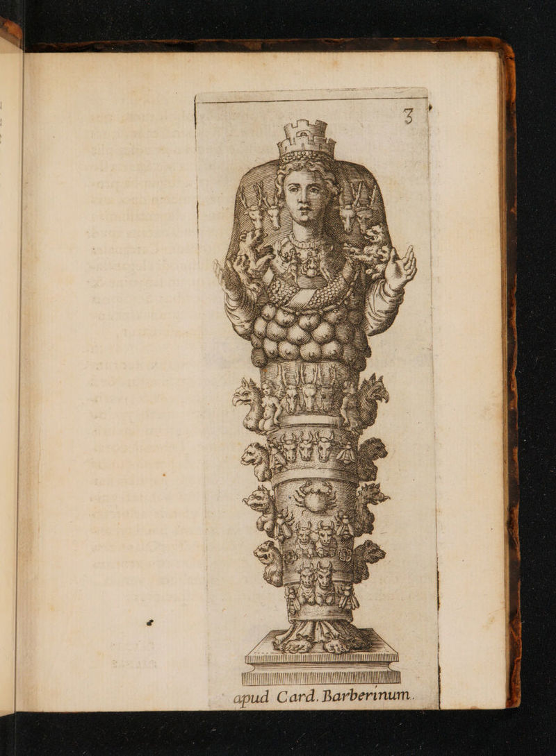 , pud Card. Barberinum e d. ANNA COWWSINE DIU: ^