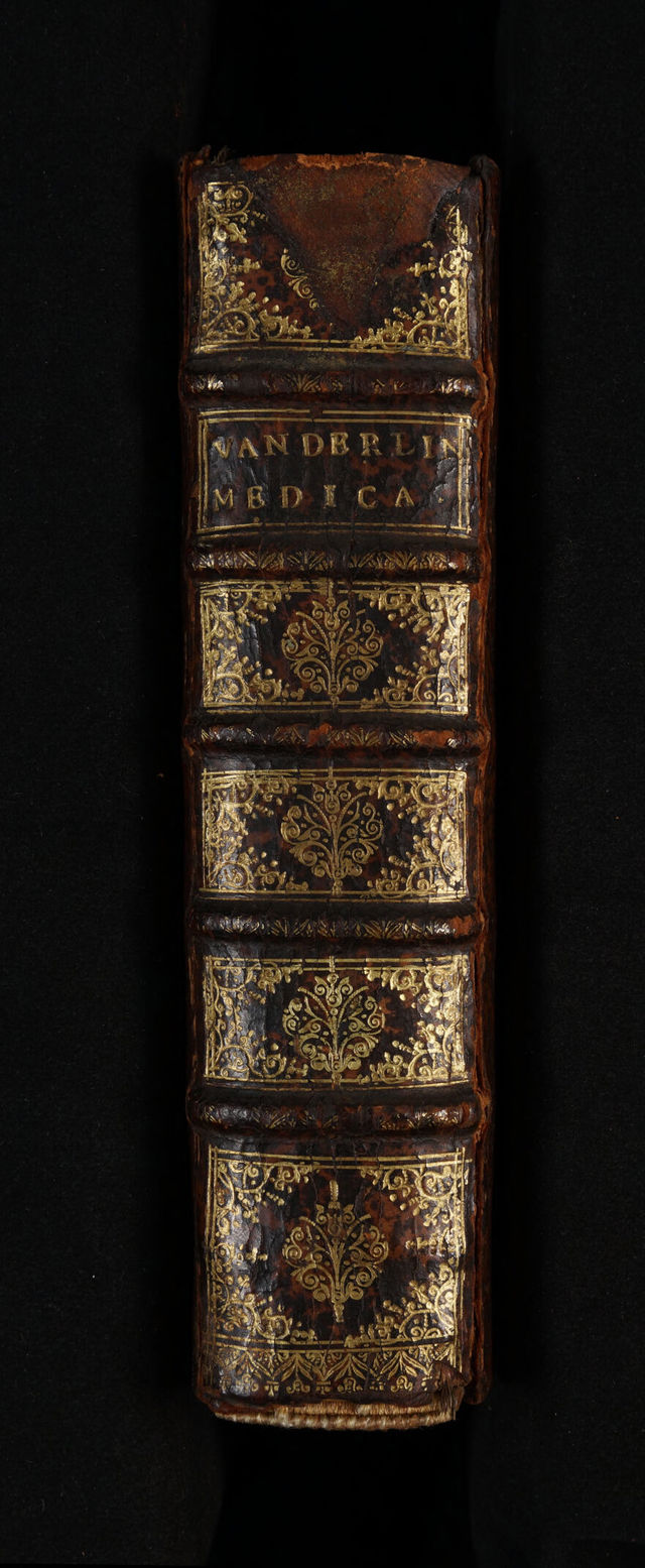 No text description is available for this image