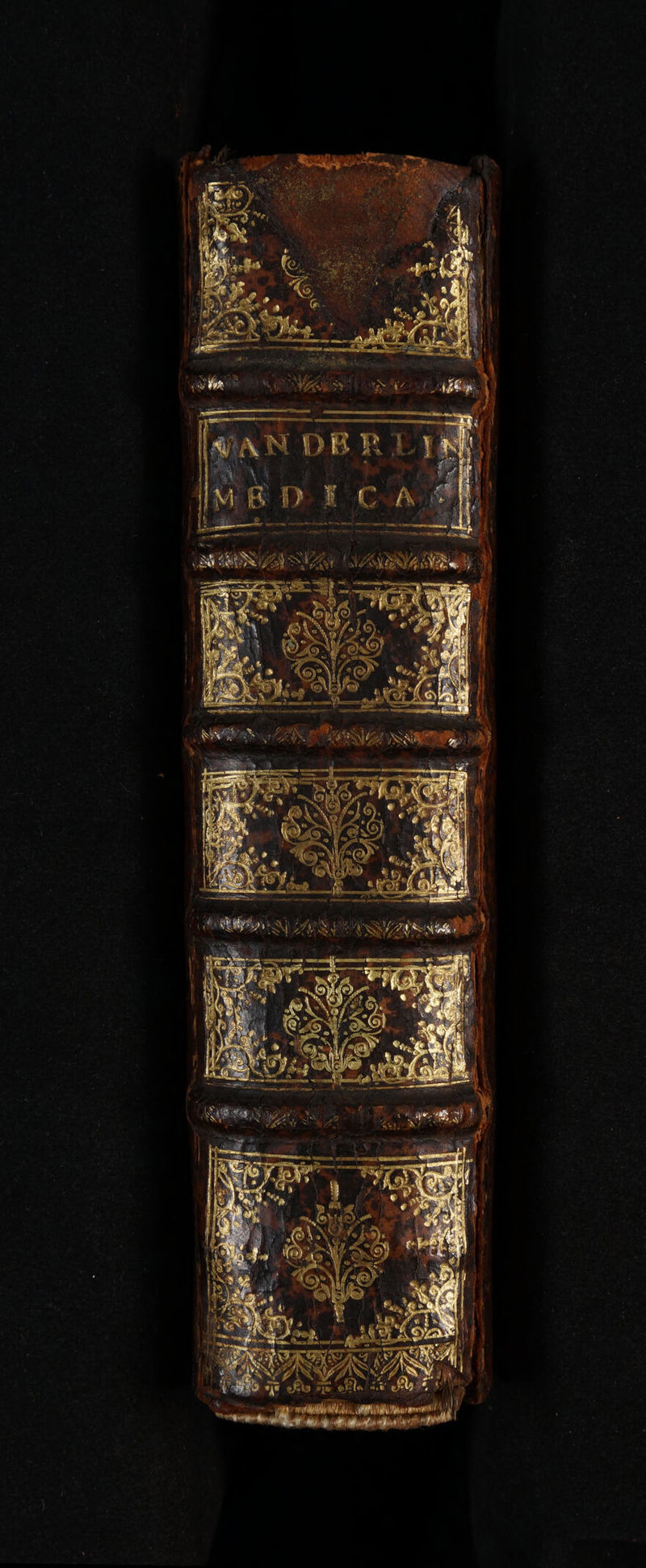 * D Α Αα ον P1008 30 uh M ESNEQS dum) uut arte o t MENÉ dE mmm ann tta Áo