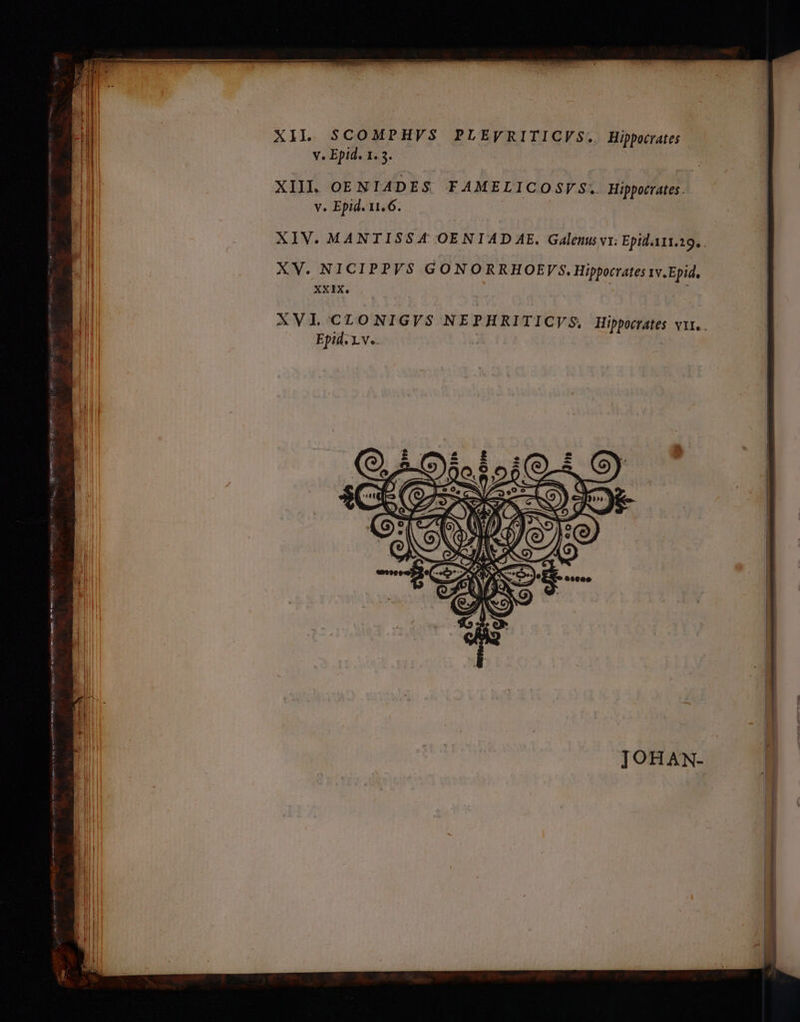 XIL SCOMPHVS PLEVRITICVS.. Hippoctates v. Epid. 1. 3. | XII. OENIADES FAMELICOSVS. Hipporates. Ve Epid. II. 6. XIV. MANTISSK* OENIA D AE. Galenus νι: Epid.A11.19, . XV. NICIPPVS$ GONORRHOEVS. Hippocrates rv.Epid, XXIX. | XVIL CLONIGVS NEPHRITICYVS, Hippoctates vit. . Epid. Lv.. | 4o VEDI UN 1 e (Q7 ^e C X3 : όν li | A m——— AD p .-.. des nain n e m gr — 02