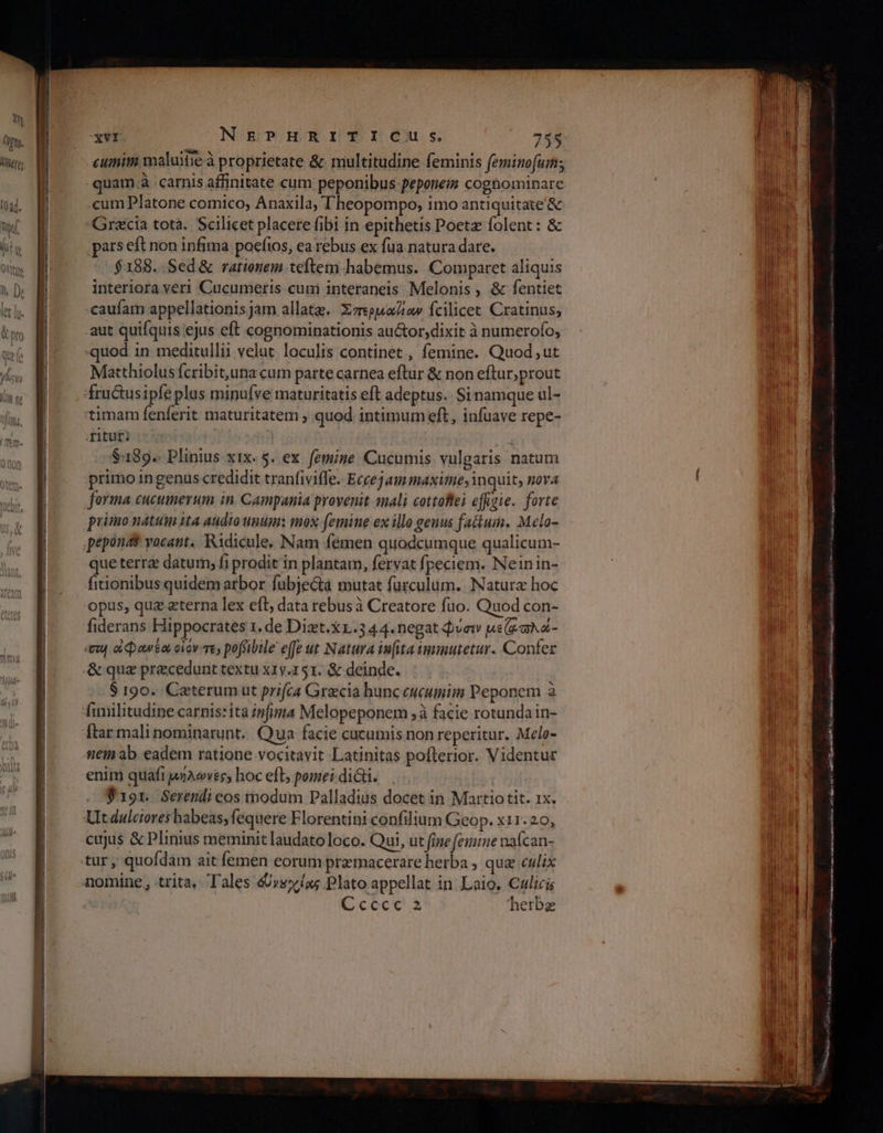------ κοκ er — M — —— — — MM M — ———À M —— xvI NEgEPHRITICIH S. 755 cumim maluifie à proprietate &amp; multitudine feminis feminofum;, quam.à carnis affinitate cum peponibus fpeponeim coghominare cum Platone comico, Anaxila, Theopompo, 1mo antiquitate '&amp; Gracia totà. Scilicet placere fibi in epithetis Poet folent: &amp; pars eft non infima Ροε(ιο», ea rebus ex fua natura dare. $188. Sed&amp; rationem teftem habemus. Comparet aliquis interiora veri Cucumertis cuni interaneis Melonis , &amp; fentiet caufam appellationisjam allatg. Σπερμα]ίαν fcilicet Cratinus, .aut quifquis ejus eft cognominationis au&amp;or,dixit à numerofo; quod 1n meditullii velut loculis continet , femine. Quod ut Matthiolus fcribituna cum parte carnea eftur &amp; non eftur;prout fructusipfe plas minufve maturitatis eft adeptus. Si namque ul- timam fenferit maturitatem ; quod intimum eft, infuave repe- rituti | | $189. Plinius xix. 5. ex femine Cucumis vulgaris natum primo ingenus credidit tranfiviffe. Eccejam maxime, nquit, nova forma cucumerum in. Campania provenit mali cottoflei effigie. forte primo natum ita audio unum: mox femine ex illo genus fatum. Melo- pepona$ vocant. Ridicule, Nam fémen quodcumque qualicum- que terra datum, fi prodit in plantam, fervat fpeciem. Neinin- fitionibus quidem arbor fubje&amp;a mutat furculum. Natura hoc opus, qua eterna lex eft; data rebusà Creatore fuo. Quod con- fiderans Hippocrates 1, de Dizt.X1.3 4 4.negat Qvet µεζσλά- vu a pawto. oiov e; poffübile effe ut Natura inita ummutetur. Confer &amp; quz precedunt textu x1y.151. &amp; deinde. $ 190. Ceterum ut prifca Gracia bunc eueumim Peponem à [τας mali nominarunt.. Qua facie cucumis non reperitur. Melo- em ab eadem ratione vocitavit Latinitas pofterior. Videntur enim quafi µήλωνεςι hoc eft, pomei diti. Φ 191. Serendi eos modum Palladius docet in Martio tit. 1x. Ut dulciores habeas; fequere Florentini confilium Geop. x11.20, MIB bua cr lc gag Ss Ra MINE LAB UA ECADUR D A: GNE ομως ο e i era gu bnnc S asi σοκ