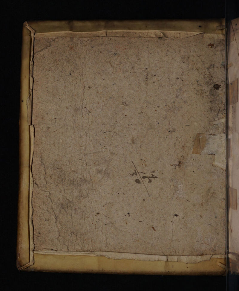 No text description is available for this image