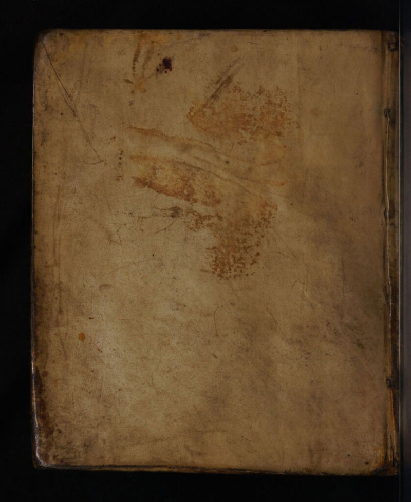 No text description is available for this image