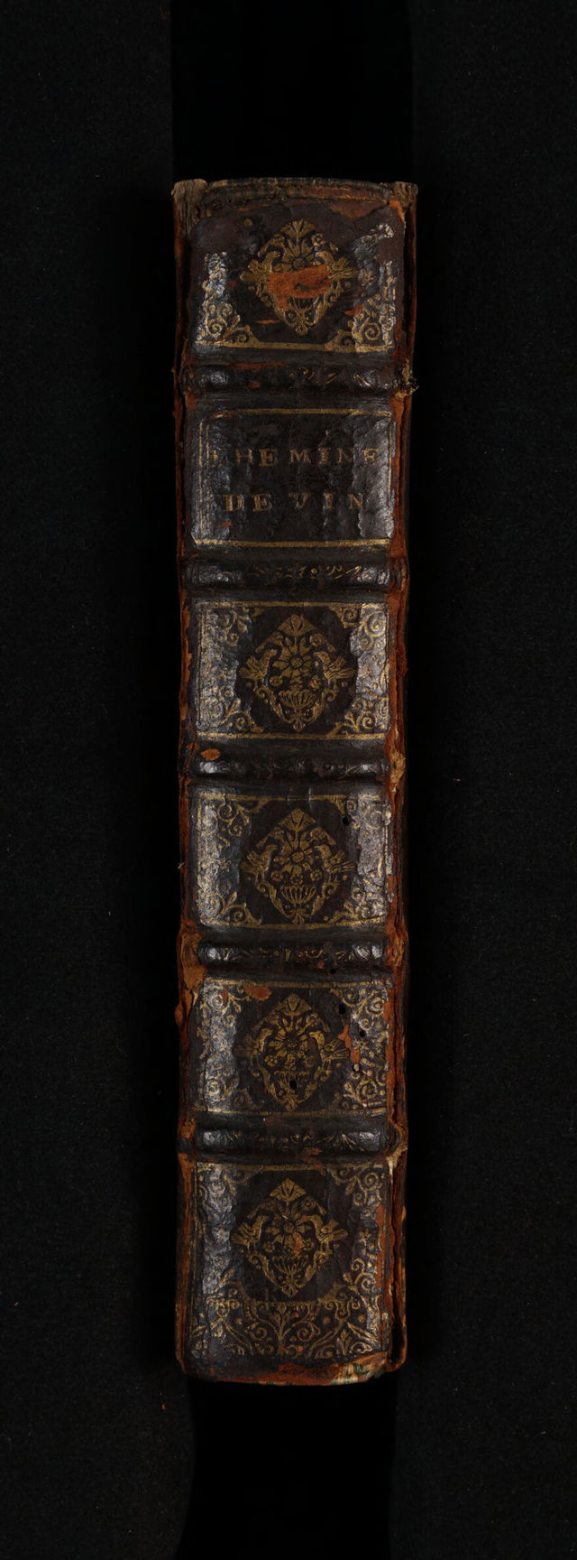 No text description is available for this image