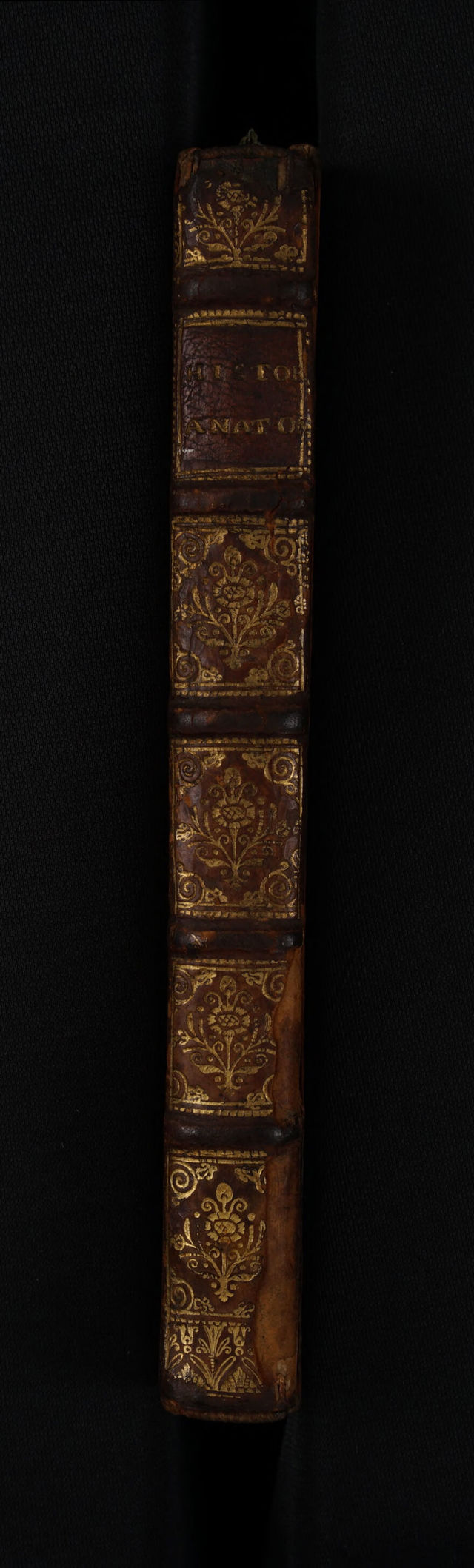 digitised image 2