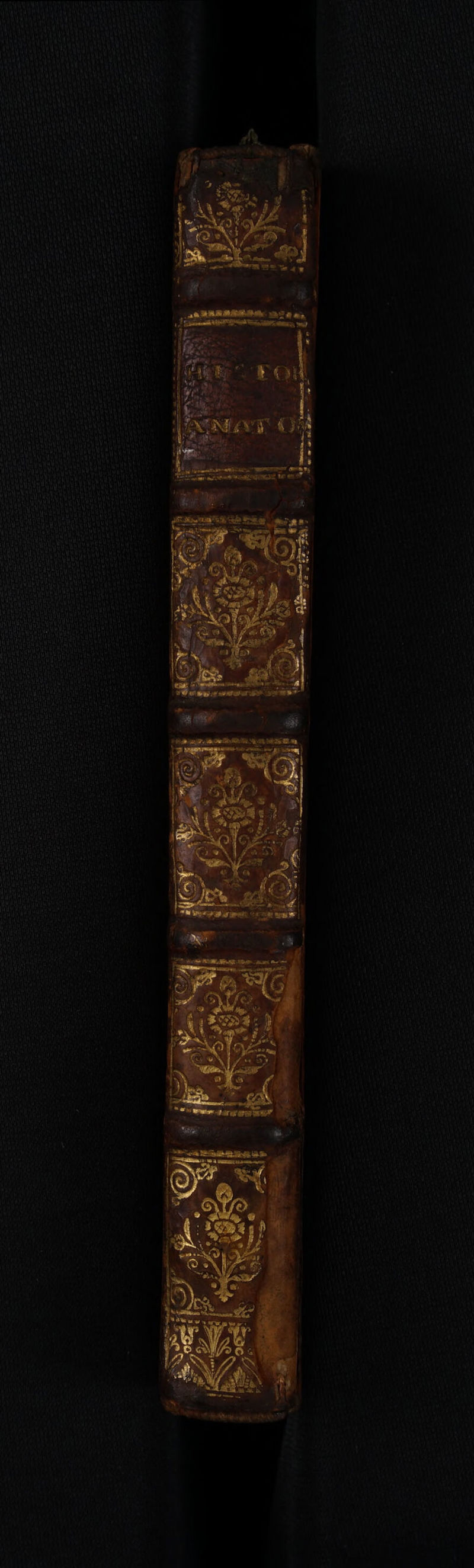 [ 411 i ut Nu i HT 1 jus ] VOU M LEAL We / j Abi vi UN VM TUM TER  TTE TA] TR UM PEDE