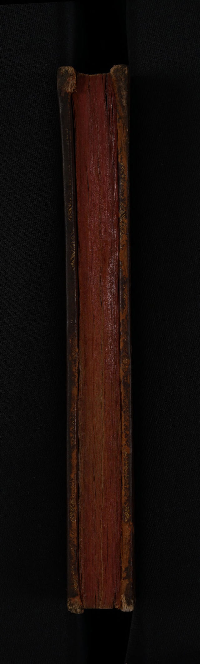 digitised image 3