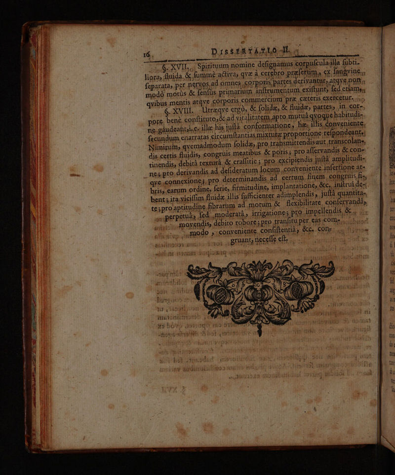 dut aene aree tnm Rt tpm — et E d ——— — 9M a RR es ri ^ Dh - z [^ z B 3 YT campi Facer obi UI ae ERE ANE Dio wisi otro o ARE feum MO. WU 2 1 e oL CWMNEQ d ie e (á. DistiAR fAXLO Hl S XVIL, Spirituum nomine defignamus corpufculailla fubti- liora flnida. &amp; fumme a£tiva, qve à cerebro. pra ferum, cx. fangvine fsparata» per nervos ad omnes corporis partes deriyaBtur, atqyg nott; modó motüs &amp; fenfüs. primarium inftrumentum. exiftunt; fed ctiam, qvibus mentis atqve corporis commerciut pre cateris exercetur. is $.XVIIL. Utreqve ergo, &amp; folida, &amp; fluide, partes, in. core. pore. bené conflituto,c ad vitalitatem apto mutuàqvogue habitudi- ne.gáudeahtji,e« illa: his, juflà conformatione, he illis, conveniente. fecundum enarratas circumftantias mixtutge proportione: reípondeante. Nimirum, qvemadmodum folida, pro, trahsmittendisaut transcolane, dis certis fluidis, congruis meatibus &amp; po tinendis, debità texturà.;&amp; craflitie.; pro excipiendis juftà amplitudi- andis ad defideratum locum conveniente infertione at« qye..connexione;, pro determinandis, ad certum. finem congruis fi-, bris, earum ordine, ferie, fitmitudine, implantatione, &amp;c., inftrui de- bent 5 ita. yiciffim fluide illis füfficienter adimplendis, juftà quantita-. te; proaptitudine fibrarupa ad motum &amp; flexibilitate, conferyandáy, , perpetua dedosn | moyendis, debito robore; pro tranfitu per. eas come ;, giu gruant, necefle eft, ENS i1 1 1 . e 7 DN r ENS ,, NN Z EN T  TA i j^ z L Z4 gmaci s * -  - pd das : CB n ui p ^ df ox tu : ; : 2 P7 23] &amp; : A £u ra dT TET i *