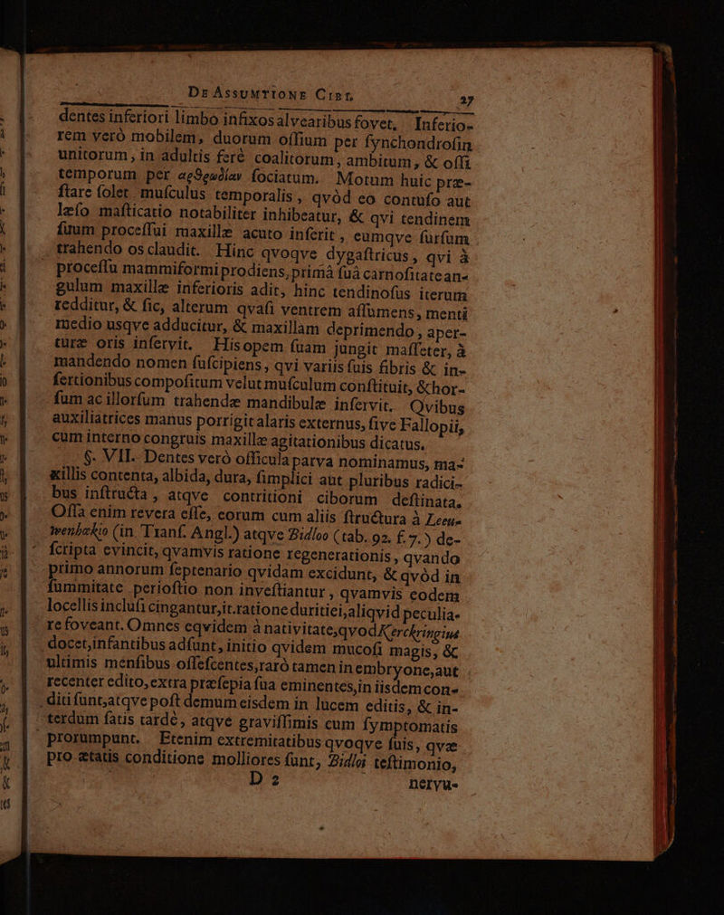 ee REN TI etti y s dentes inferiori limbo infixosalvearibus fovet, Inferio- rem yeró mobilem, duorum oífium pet fynchondrofin unitorum, in adultis feré coalitorum, ambitum, &amp; offi temporum per aeSewóía» fociatum. Motum huic pre- ftarc folet. mufculus temporalis , qvàd eo contwfo aut lzío mafticatio notabiliter inhibeatur, &amp; qvi tendinem fuum proceífui maxille acuto inferit , cumqve furfum proceífu mammiformi prodiens, primá füà carnofitatean« gulum maxille inferioris adit, hinc tendinofus iterum redditur, &amp; fic, alterum qvafi ventrem affümens, menti Inedio usqve adducitur, &amp; maxillam deprimendo, aper- mandendo nomen fufcipiens, qvi variis fuis fibris &amp; in- fertionibus compofitum velut mufculum conftituit, &amp;hor- fum ac illorum trahende mandibule infervit. Qvibus auxiliatrices manus porrigit alaris externus, five Fallopii, $. VII. Dentes veró officula patva nominamus, ma- xillis contenta, albida, dura, fimplici aut pluribus radici- bus inftructa , atqve. contritioni ciborum deftinata, Ofla enim revera effe, eorum cum aliis firu&amp;tura à Leeus Wenbeko (in. 'Tranf. Angl.) atqve 2idloo ( tab. 92. f. 7.) de- fcripta cvincit, qvamvis ratione ICcgenerationis , qvando locellis inclufi cingantur,it.ratione duritiei;aliqvid peculia- rc foveant. Omnes eqvidem à nativitateqvodKerckringins » initio qvidem mucofi magis, &amp;c ultimis menfibus offefcentes,raró tamen in embryone,aut rccenter edito, extra przfepia fua eminentes,in iisdemcon- pro atatis conditions molliores funt, Zidloi teftimonio, UR | D 2 Deryu-