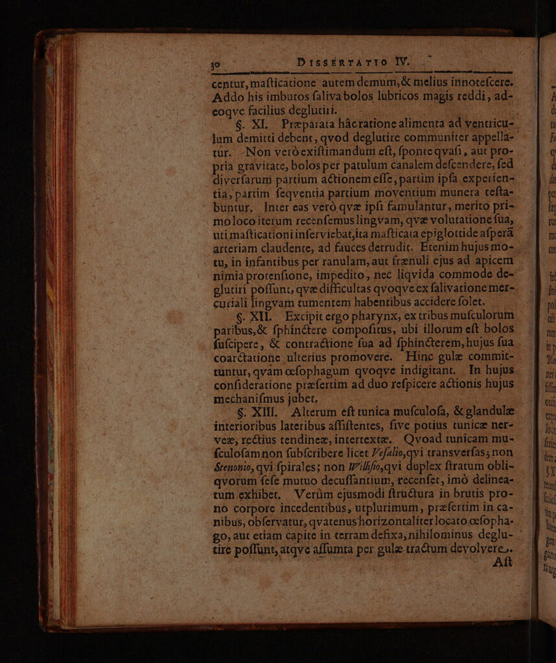 p : . s — M :  - centur,mafticatione autem demum, &amp; melius innotefcere. Addo his imbutos falivabolos lubricos magis reddi , ad- eoqve facilius deglutiri. tur. «Non veróexiftimandum eft, fponte qvafi, aut pro- pria gravitate, bolos per patulum canalem defcendere, fed tia, partim feqventia partium moventium munera tefta- buntur. Inter eas veró qve ipfi famulantur, merito pri- moloco iterum recepnfemus lingvam, qve volutationé fua, elutiri poffunt, qve difficultas qvoqve ex falivatione mer- curiali lingvam tumentem habentibus accidere folet. €. XI... Excipit ergo pharynx, ex tribus mufculorum paribus,&amp; fphinctere compofitus, ubi illorum eft bolos füfcipere, &amp; contractione fua ad fphincterem, hujus fua coarétatiohe ulterius promovere. Hinc gule commit- tuntur, qvàm ocfophagum qvoqve indigitant. In hujus confideratione prefertim ad duo refpicere actionis hujus mechanifmus jubet. | : ! $. XII. Alterum eft tunica mufculofa, &amp; glandule interioribus lateribus affiftentes, five potius tunicze ner- vez, rectius tendinez, intertextz. Qvoad tunicam mu- fculofamnon fuübícribere licet efalio,qvi transverfas; non &amp;renonio, qvi fpirales; non Iili/ro,qvi duplex ftratum obli- qvorum fefe mutuo decuffantium, recenfet, imó delinea- nó corpore incedentibus, utplurimum, praefertim in ca- tirc poffunt, atqve affumta per. gule tractum devolyere.. e Kis URS VWAB
