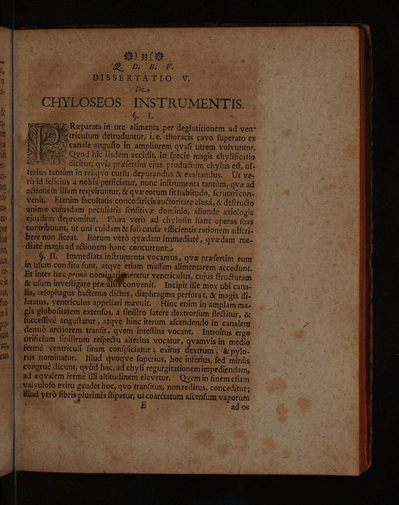 hut ihi m Yt tu, à Yel S) 3X E m n ar. DISSERTATIO V, De.» CHYLOSEOS INSTRUMENTIS. | Ss x27; Reparata in ore alimenta per deslutitionem ad ven* ) bx triculum detruduntur, i.e. thoracis cavo füperato ex 722» canale angufto in ampliorem qvafi utrem volvuntnr. Ier Qyod hic iisdem accidit, in fpecie magis ehvlificatio LA EQUO RESN SA ) L 8 : USXCSUEES dicitur, qvia przfertim ejus produ&amp;um chylus eft, ul: terius tantüm in reliqvo curfu depurandus &amp; exaltandus. Ut ve- rÓ Id felicius à nobis perficiatur, nunc inftrumenta tantura, qva ad actionem illam reqviruntur, &amp; qvx eorum fit habitudo, fcrutari con- venit. Etenim facultatis conco ricis auctoritate elusá, &amp; deftru&amp;to anime cujusdam peculiaris fenfitive dominio, aliunde atlologia —ejusdem depromitur. -Plura veró ad chylofin hanc operas fuas diate magis ad a&amp;tionem hanc concurrunt. .$. IL. Immediata inftrumenta vocamus, qve przfertim eum in ufum condita funt, atqve etiam maffam alimentarem accedunt. Et inter hzc prz Mas ^ — dida ventriculus, cujus ftructuram &amp; ufum invefligare przalii$convenit. - Incipit ille mox ubi cana- lis, oefopliagus ha&amp;enus di&amp;us, diaphragma perfora t, &amp; magis di- latatus, ventriculus appellari mavult... Hinc enim in amplam ma- gis globofitatem extenfus, à finiftro latere dextrorfüm fle&amp;itur, &amp; fucceffivé anguflatur , atqve hinc iterum afcendendo in canalem denuó ar&amp;iorem tranfit, qvem inteflina vocant. Inttoitus ergo orificium finiftrrum refpe&amp;u alterius vocatur, qvamvis in medio fertié ventriculi fitum confpiciatur 5 exitus dextrum , &amp; pylo- .rus nominatur. Illud qvoqve fuperius, hoc inferius, fed' minüs congrue dicunt, qvód hoc, ad chyli regurgitationem impediendam, valvulofo exitu gaudet hoc, qvo tranfitus, nonreditus, conceditur; illud ver fibrisplurimis flipatur, utcoar&amp;tatum afcenfum Vaporuüm E ad os a — — at t pr