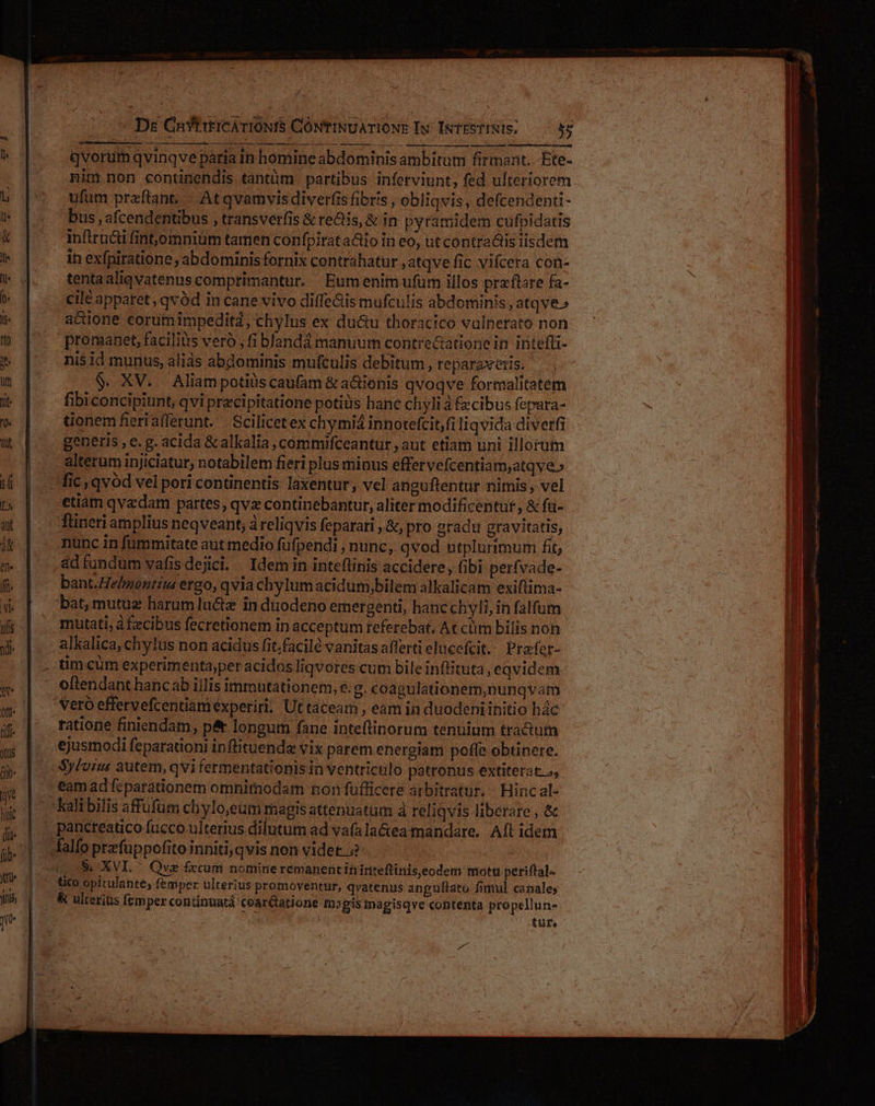 Ds CnhYttEICATIONIS COÓNTINUATIONE Iu I&amp;TESTINIS; T CPC QUEE SUE 3p INS CAEKETEP RT APPEIMRAT DCUM AT IT qvorum qvinqve pária i homine abdominis ambitum firmant. Ete- nim non continendis tantüm partibus inferviunt, fed ulteriorem ufum praftant. « Atqvamvisdiverfis fibris , obliqvis, defcendenti- bus , afcendentibus , transverfis &amp; redis, &amp; in pyramidem cufpidatis inftrü&amp;i fint,omniüm tamen confpiratactio in eo, ut contraális iisdem ih exfpiratione, abdominis fornix contrahatur atqve fic vifcera con- tentaaliqvatenus comptimantur. Eum enim ufum illos praftare fa- cilé apparet, qvód in cane vivo diffe&amp;is mufculis abdominis , atqve» a&amp;ione eorumimpedita, chylus ex du&amp;u thoracico vulnerato non promanet, facilius vero ;fi blandá manuum contre&amp;atione in intefli- ni$ id munus, aliàs abdominis mufculis debitum, reparaxess. | $. XV. Aliampotiüscaufam &amp;actienis qvoqve formalitatem fibiconcipiunt, qvi pracipitatione potiüs hanc chyli à £&amp;cibus fepara- tionem fieri afferunt. . Scilicetex chymia innotefcit,fi liqvida diverfi generis , e. g. acida &amp; alkalia commifceantur , aut etiam uni illorum alterum injiciatur, notabilem fieri plus minus effervefcentia m,atqye» etiam qvzdam partes, qvz continebantur, aliter modificentut, &amp; ftü- üineri amplius neqveant, à reliqvis feparari ,&amp;, pro gradu gravitatis, nunc in fümmitate aut medio fufpendi , nunc, qvod ntplurimum fit, ád fundum vafisdejici. — Idem in inteftinis accidere, (ibi per(vade- bant.He/montiw ergo, qvia chylumacidum,bilem alkalicam exiftima- bat, mutuz harumluctz in düodeno emergenti, hancchyli, in falfum mutati, à fecibus fecretionem in acceptum referebat, At cüm bilis non oftendant hanc ab iilis immutationem, e. g. coagulationem,nunqvam Vero effervefcentiani experiri. Ut taceam , eam in duodeni initio hác tatione finiendam, p&amp; longum fane inteflinorum tenuium tractum ejusmodi feparationi in flituenda vix parem energiam pofle obtinere. Sylvius autem, qvi fermentatiopis in ventriculo patronus extiterat», pancteatico fucco ulterius dilutum ad vafala&amp;ea mandare. Aft idem (08. XVI ^ Qvz fzcum nomine rémanentiniriteftinis,eodem motu periftal« tico opitulante, femper ulterius promoventur, qvatenus angultato fimul canales tute
