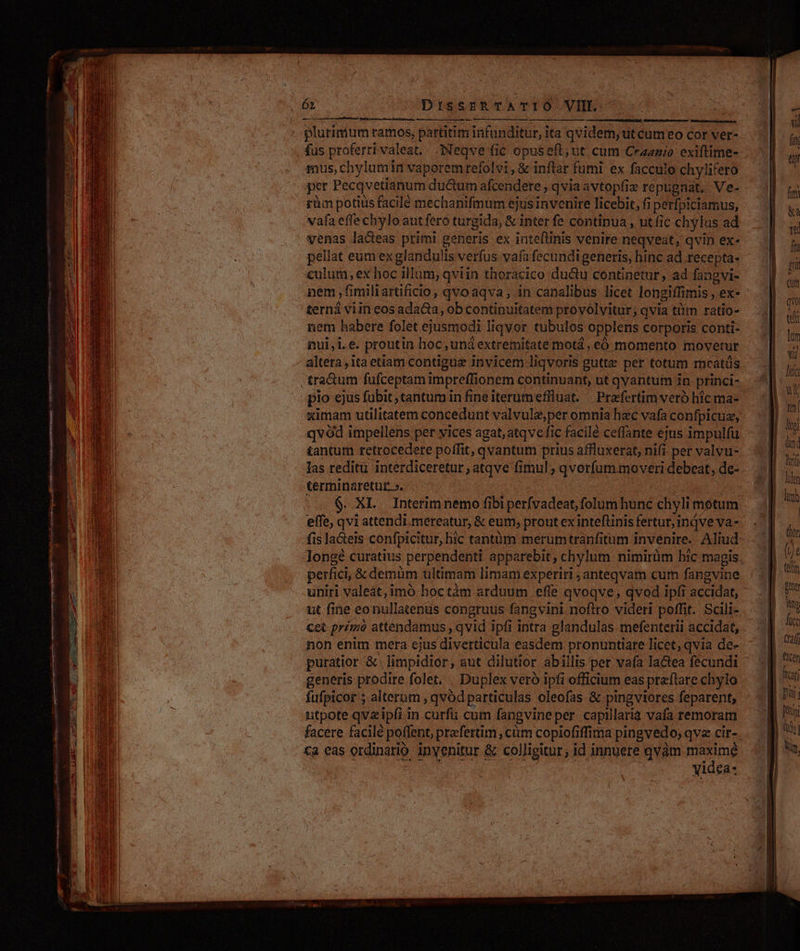 SF SEEN cual Neue ei DN Du plurimum ramos, partitim infunditur, ita qvidem, ut cum eo cor ver- fus proferrivaleat, Neqve fic opuseft; ut cum Craanzo exiftime- mus, chylumin vaporemrefolvi , &amp; inftar fumi ex facculo chylifero per Pecqvetianum du&amp;tum afcendere , qvia avtopfiz repugnat, Ve- rüm potius facilé mechanifmum ejus invenire licebit, fi perfpiciamus, vafa effe chylo ant feró turgida, &amp; inter fe continua , ut fic chylus ad venas lacteas primi generis ex intellinis venire neqveat, qvin ex- pellat eum ex glandulis verfus vafa fecundigeneris, hinc ad recepta. culum, ex hoc illum, qviin thoracico du&amp;u continetur, ad fangvi- nem , fimiliartificio, qvo aqva , in cánalibus licet longiffimis , ex- terná viin eos adacia, ob continuitatem provólvitur; qvia tüm ratio- nem habere folet ejusmodi liqvor tubulos opplens corporis conti- nul,L.e. proutin hoc, uná extremitate motá, eó momento movetur altera, ita etiam contigue invicem liqvoris gutte per totum mcatüs plo ejus fubit, tantum in fine iterümeffiuat. — Prefertim veró híc ma- ximam utilitatem concedunt valvulz,per omnia h&amp;c vafa confpicuz, qvód impellens per vices agat, atqve fic facile ceffante ejus impulfu tantum retrocedere poffit, qvantum prius affluxerat, nifi- per valvu- terminaretur ». | | $. XL Interim nemo fibi perfvadeat, folum hunc chyli motum effe, qvi attendi.mereatur, &amp; eum; prout ex intefünis fertur, inve va- fislaGets confpicitur, hic tantüm merumtranfitum invenire. Aliud longé curatius perpendenti apparebit, chylum nimirüm hic magis perfici, &amp; demüm ultimam limam experiri ; anteqvam cum fangvine uniri valeat, imó hoctàm arduum effe qvoqve, qvod ipíi accidat, ut fine eonullatenus congruus fangvini noflro videri poffit. Scili- non enim mera ejus diverticüla easdem pronuntiare licet, qvia de- generis prodire folet. . Duplex vero ipfi officium eas preflare chylo fufpicor ; alterum , qvód particulas oleofas &amp; pingviores feparent, utpote qvzipfi in curfu cum fangvine per. capillaria vafa remoram facere facilé poffent, prefettim , clim copiofiffima pingvedo; qve cir- ca eas ordinario inyenitur &amp; colligitur, id innuere qvàm SUR yidea- Bis it füct Ev | Dn iu