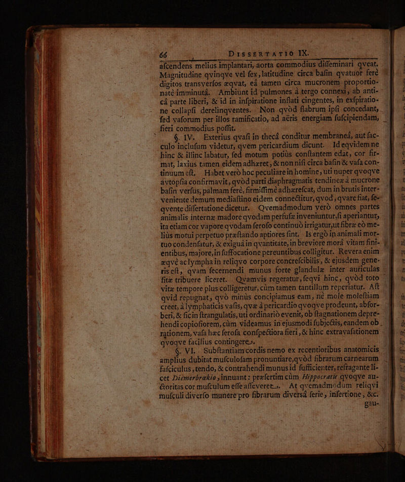 66 DissiRTATÍO IX. Magnitudine qvinqve vel fex, latitudine circa bafin qvatuor fere digitos transverfos eqvat, ed tamen circa mucronem proportio- naté imminutá. Ambiunt id pulmones à tergo connexi, ab anti- cá parte liberi, &amp; id in infpiratione inflati cingentes, in exfpiratio- ne collapfi derelinqventes. Non qvod flabrum ipi concedant, fed vaforum per illos ramificatio, ad aeris energiam fufcipiendam, fieri commodius poffit. | .IV. Exterius qvafi in thecá conditur membraneà, aut fac- culo inclufum videtur, qvem pericardium dicunt. . Ideqvidemne hinc &amp; illinc labatur, fed motum potius conftantem edat, cor fir- mat, laxius tamen eidem adharet , &amp; non nifi circa bafin &amp; vafa con- tinuume(t, | Habet veró hoc peculiatein homine; uti nuper qvoqve avtopíia confirmavit, qvod parti diaphragmatis tendinea à mucrone vente differtatione dicetur. (Qvemadmodum veró omnes partes ita etiam cor vapore qvodam ferofo continuó irrigatur;ut fibre eó me- liüs motui perpetuo przftando aptiores fint. - Is ergó in animali mor- tuo condenfatur, &amp; exiguá in qvantitate, in breviore morá vitam fint- entibus, majore, in fuffocatione pereuntibus colligitur. Revera enim «qve aclymphain reliqvo corpore concrefcibilis, &amp; ejusdem gene- fite tribuere liceret. Qvamvis regeratur,feqvi hinc, qvod toto vitz tempore plus colligeretur, cüm tamen tantillum reperiatur, Aft qvid repugnat, qvó minüs concipiamus eam, né mole moleftiam creet, à lymphaticis vafis, qva à pericardio qvoqve prodeunt, abfor- beri, &amp; ficin ftrangulatis, uti ordinario evenit, ob ftagnationem depre- qvoqve facilius contingere». : - VL. Subftantiam cordis nemo ex recentioribus anatomicis amplius dubitat mufculofam pronuntiare,qvód fibrarum carnearum fafciculus , tendo, &amp; contrahendi munusid fufficienter, refragante li- cet Diémerbrekio ,inpuant: praefertim cüm Azppocratiz qvoqve au- mulculi diverfo munere pro fibrarum diversá ferie , infertione , &amp;c. gau-