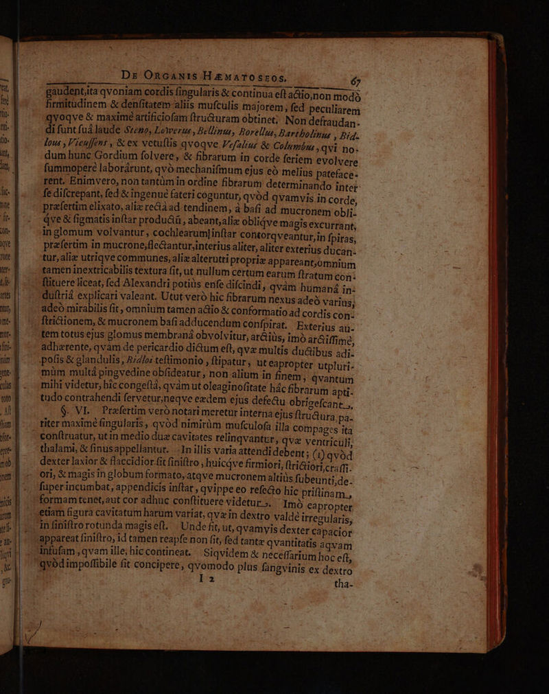 TERGISCaMIE SEU INDRS, CDS EORR NUSQUAM SSH MESE ARD UMP v E e E RM gaudent;ita qvoniam cordis fingularis &amp; continua eft actioÀnon modó hrmitudinem &amp; den(itatem-aliis mufculis majorem; fed peculiarem qvoqve &amp; maxime artificiofam flru&amp;uram obtinet; Non defraudan. di funt fuá laude Szezo, Lowertu , Bellinus, Borellus, Bartbolinus , Bi. lous , 'ieuffens , &amp; ex vetufüis qvoqve Fefaliur &amp; Columáns , qvi no: dum hunc Gordium folvere, &amp; fibrarum in corde feriem evolvere fummopere laborárunt, qvó mechanifmum ejus eó melius pateface- rent. Enimvero, non tantüm in ordine fibrarum determinando intet fe difcrepant, fed &amp; ingenue fateri coguntur, qvód qvamvis in corde, prafertim elixato, aliz recta ad-tendinem, à bafi ad mucronem obli- qve&amp; figmatisinftar produáü, abeant;aliz oblidve magis excurrant, in glomum volvantur, cochlearum] inftar coRtorqveantur,in fpiras, przferüm in mucrone,flectantur,;interius aliter, aliter exterius ducan: tur,aliz utriqve communes, aliz alterutri propric appareant;,omnium tamen inextricabilis textura fit, ut nullum certum earum ftratum con: frituere liceat, fed Alexandri potiüs enfe difcindi, qvàm humaná in: duítrià explicari valeant. Utut veró hic fibrarum nexus ade varius; adeo mirabilis fit , omnium tamen aiio &amp; conformatio ad cordis con- ;: flridionem, &amp; mucronem bafi adducendüm confpirat. Exterius ai: ;tem totus ejus glomus membraná obvolvitur, aráiüs, im ar&amp;iffime, adharente, qvàm de pericardio di&amp;um eft, qvz multis du&amp;ibus adj. .pofis &amp; glandulis, ;4/oi teftimonio , ftipatur ' üteapropter utpluri- - müm multá pingvedine obfideatur , non alium in finem ; Qvantum mihi videtur, hic congeftá, qvam ut oleaginofitate hác £brarum apti- tudo contrahendi fervetur,neqve exdem ejus defeQu obrizefcant.., «$$. VL. Prafertim veró notari meretur interna ejus flruura pa. titer maxime fingularis, qvod nimirüm mufculofa illa Cotnpages ita - conftruatur, ut in medio düz cavitates relinqvantur, qva ventriculi, thalami, &amp; finusappelfantur. ..-In illis varia attendi debent; ( 1) qvód dexter laxior &amp; flaccidior fit finiftro ; huicáve fitmiori, flri&amp;iortcraff. ori; &amp; magis in globum formato, atqve mucronem altiüs fübeunti,de. füperincumbat, appendicis inftar , qvippe eo refe&amp;o hic priflinam., formam tenet, aut cor adhuc conflituere videtur. ;, Imó ea propter . etiam figura cavitatum harum variat, qvzin dextro valde irregularis, 1n finiflro rotunda magiseft. | Unde fit, ut, qvamyis dexter Capacior appareat finiftro, id tamen reapfe non fit, fed tantz Qvantitatis aqvam Infufam , qvam ille, hic contineat. Siqvidem &amp; neceffarium hoc eft, qvod impoffibile fit concipere, qvomodo plus fangvinis ex dextro l2 tha-
