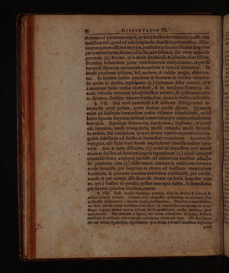 qui tantillum feri , qvod ad vafa lymphatica fecedit in pulmonibus , difpa- e Mie ama d nig, Mm e t uu s i fist teria p he! fie vii fitt lo, qvàm in dextro, reperiuntur. (3.) Columnz di&amp;z carnez, qve Ys à mucrone baán verfus afcendunt, &amp; in. tendinea filamenta ab- n eunt, valvulis venarum tricufpidalibus annexa, de qvibus mox plu- fus; ta dicemus, fimiliter minore firmitudine, qvàminfiniflrro inftru&amp;is. —.| gj «iv $. VIE. Bini veró ventriculi à fe invicem diftingvuntur in- (jui termedio qvafi pariete, qvem feptum cordis dicunt. Qvamvis f enim ad finiftrum formandum potius videatur fabrefaGufi , qvód 1 t hujas figuram feqvatur,infimul tamen utriusqve communicationem — 3 s intercipit. Eqvidem He/montius, Bartbolznur, Gajffendus, &amp; pauci. -— 1g) ux; alii, foramina, modo triangularia, modó rotünda, modó flexuofa .. |] in eodem fibi concipiunt, qvx ex dextro ventriculo portionem fan- «| T evinis fübtilioris ad finiftrum immediate transferant. . Atavtopfia 4 n repugnat, nifi ftylo forté foveis imprudenter immiffo eadem para- — . lise Veris. Imó &amp; ratio diflvadet, (1.) qvód nil impediret, qvó minüs .— | 1^ etiam ex finiftro ad dextrum fangvis regurgitaret;2.) qóvd utroqve- — L3 tij tis fit: praefertim cüm (3-) obfervemus, naturam in embryone foramen - contta&amp;o fimul, adeóqve occlufo, ad alterutrum tranfitus àduva]ov | * ovale formáffe, pro fangvine ex dextro ad finiffrum ventriculum ^ |J ivi ii fundendo, &amp; przterea canalem atteriofüm conftituiffe, pro combi- — 3 ^ i nando &amp; per aortam diftribuendo dextre cavitatis fangvine cum. | às T e LY .. N LI LI LI] . s. '00 ur eo, qvi e finiflro eó prodit; qvibus non opus fuiffet ,.fi immediatus t u it 3 ] ] m perforamia qvzdam tranfitus pateret. - prine .6, VIII. Bafis cordis foramina qvatuor, bina in dextri, &amp; bina infi- luj; aiflrà cavitate obtiner. Omnia veró catara&amp;tis qvibusdam. muniuntur; five 79 ns pelliculis obducuntur , valvule vicem przftantibus, | Duplicis tamen ftru&amp;u- Wide rx funt; altere enim acceflum concedunt ad ventriculorum cavum; ex eo re- | t  ditum negant, altere contra exitum facilé permittunr, verfus cavitates veró: m L eccluduntur. Hle mitrales à figurá, aut etiam tricufpides dicuntur, &amp; fibris: : MIT tendíneis firmiffimts columnarum carnearnm continus fünt. Hx femiluna- I z6s. aut exlam, figmoidez, appellantur, qva etiam à formá interdum digitales» ETT : DER qvod S