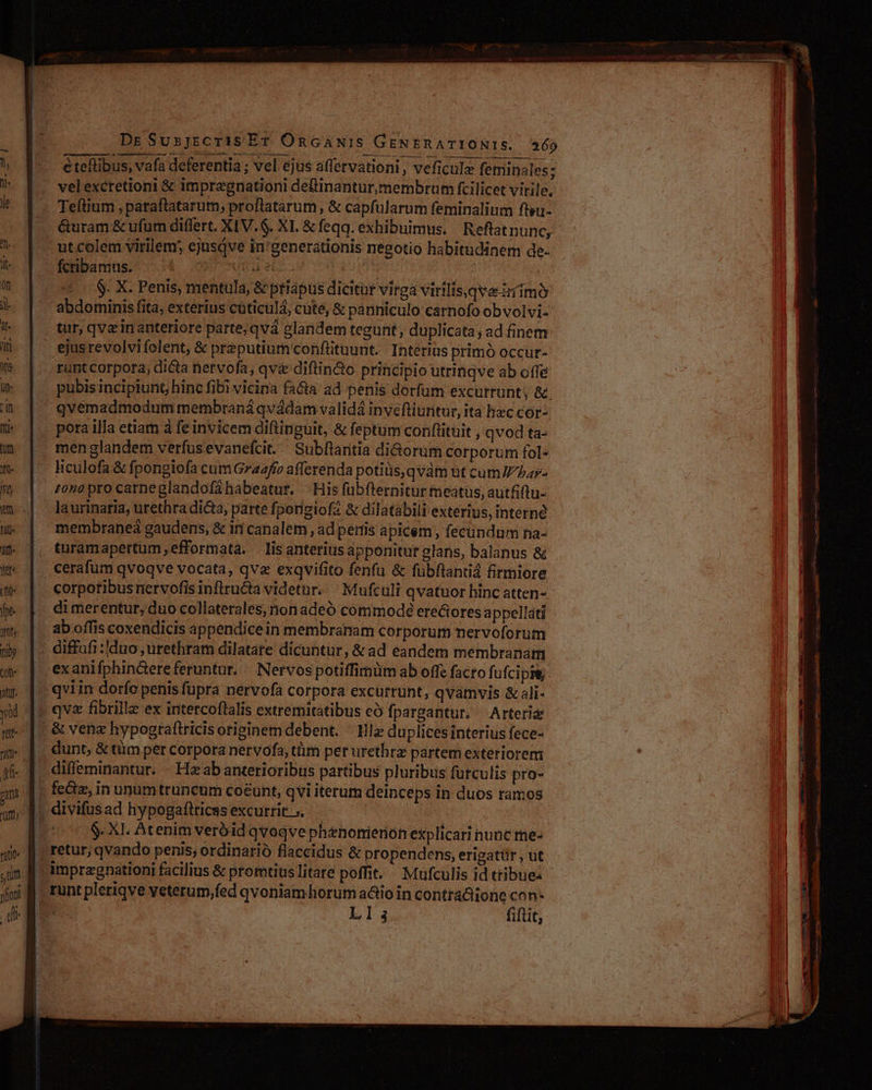 € teflibus, vafa deferentia ; vel ejus affervationi , veficulz feminales; velexctetioni & impregnationi deflinantur, membrum fcilicet virile. l: | . Teftium paraftatarum, proftlatarum, & capfularum feminalium fiwu- &uram & ufum differt. XIV.6. XI. & feqq. exhibuimus. Reflatnunc, ^. |. utcolem virilem, ejusqve in'generationis negotio habitudinem de. k- | — fcribamus. TIME d EC. | Pes | m |. $ X.Penis, mentula, & priapus dicitur virga virilisqve :iimo il abdominis fita exterius cüticulá, cute, & panniculo carnofo obvolvi- it tur, qva in anteriore parte; qvà glandem tegunt , duplicata; ad inem i | ejusrevolvifolent, & prezputiumconftituunt. Interius primó occur- - |. runtcorpora, dicta nervofa, qva diftin&o principio utrinqve ab offe m | pubisincipiunt hinc fibi vicina faa ad penis dorfum excurrunt; &. i | qvémadmodum membraná qvádam validá inveftiuritur, ita Bec cor- Q« |. porailla etiam à feinvicem diftinguit, & feptum confiituit , qvod ta- uw | menglandem verfusevanefci.— Subftaritia di&orum corporum fol« m- | Hculofa& fpongiofa cumGrazfío afferenda potiüs,qvàm ut cumJ72a»- It :0no pro carneglandofa habeatur, | His fübfternitur meatus, autfiftu- m | laurinaria, urethra dicta, parte fporigiofa & dilatábili exterius, interne membraneá gaudens, & iri canalem , ad pertis apicem , fecundum na- m |. toramapertum,efformata. . lis anterius apponitur glans, balanus & i |. cerafum qvoqve vocata, qva exqvifito fenfu & fubflantiá firmiore &« |. corpotibusnervofis inflructa videtur ' Mufculi qvatuor hinc atten- fe |. dimerentur, duo collaterales, non adeó commode ere&oresa ppellati my |. aboffiscoxendicis appendicein membranam corporum nervoforum n |. diffufi:duo ,urethram dilatate dicuntur, & ad eandem membranam w- |. exanifphin&ereferuntur. Nervos potiffimüm ab offe facto fufcipi, ur |. qviin dorfo penis fupra nervofa corpora excurrunt, qvamvis & ali- 5 f: qve fibrille ex intercoftalis extremitatibus eó fpargantur, ^ Arteris ge. & vena hypograftricis originem debent. ^ 1ilz duplices interius fece- 4» |. dunt, &tüm per corpora nervofa, tm perurethra partem exteriorem jf- |. diffeminantur. - Ha ab anterioribus partibus pluribus furculis pro- am T. fe&iz, in unum truncum coéunt, qvi iterum deinceps in duos ramos jm |, divifusad hypogaftricasexcurrit s. vU o S XL Atenimveróid qvoqve phenonienon explicari nunc me» «i f. retur, qvando penis; ordinarió flaceidus & propendens, erigatür, ut - im. ff impregnationi facilius & promtius litare poffit. Mufculis id ttibue. joi f runt pleriqve veterum,fed qvoniam horum a&io in contra&ione con- Fa Ll; fitit,