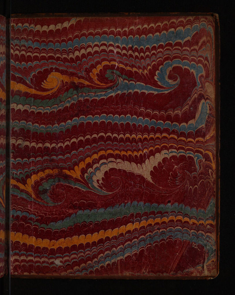 No text description is available for this image