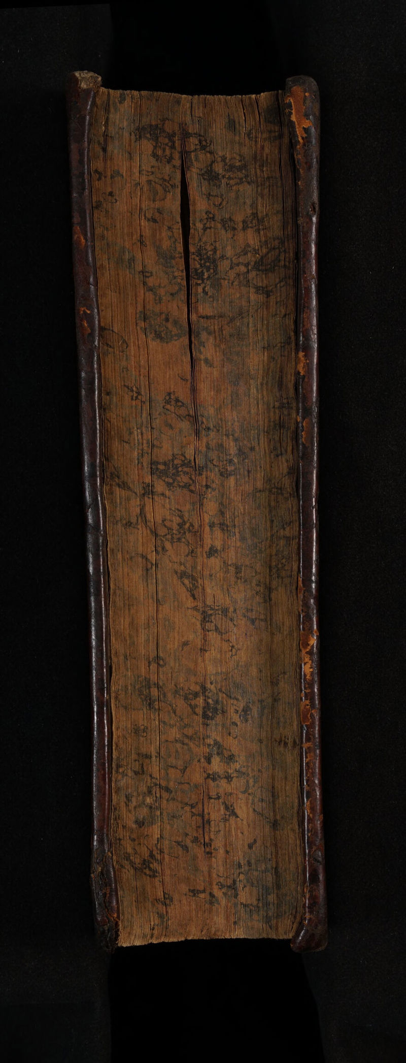 No text description is available for this image