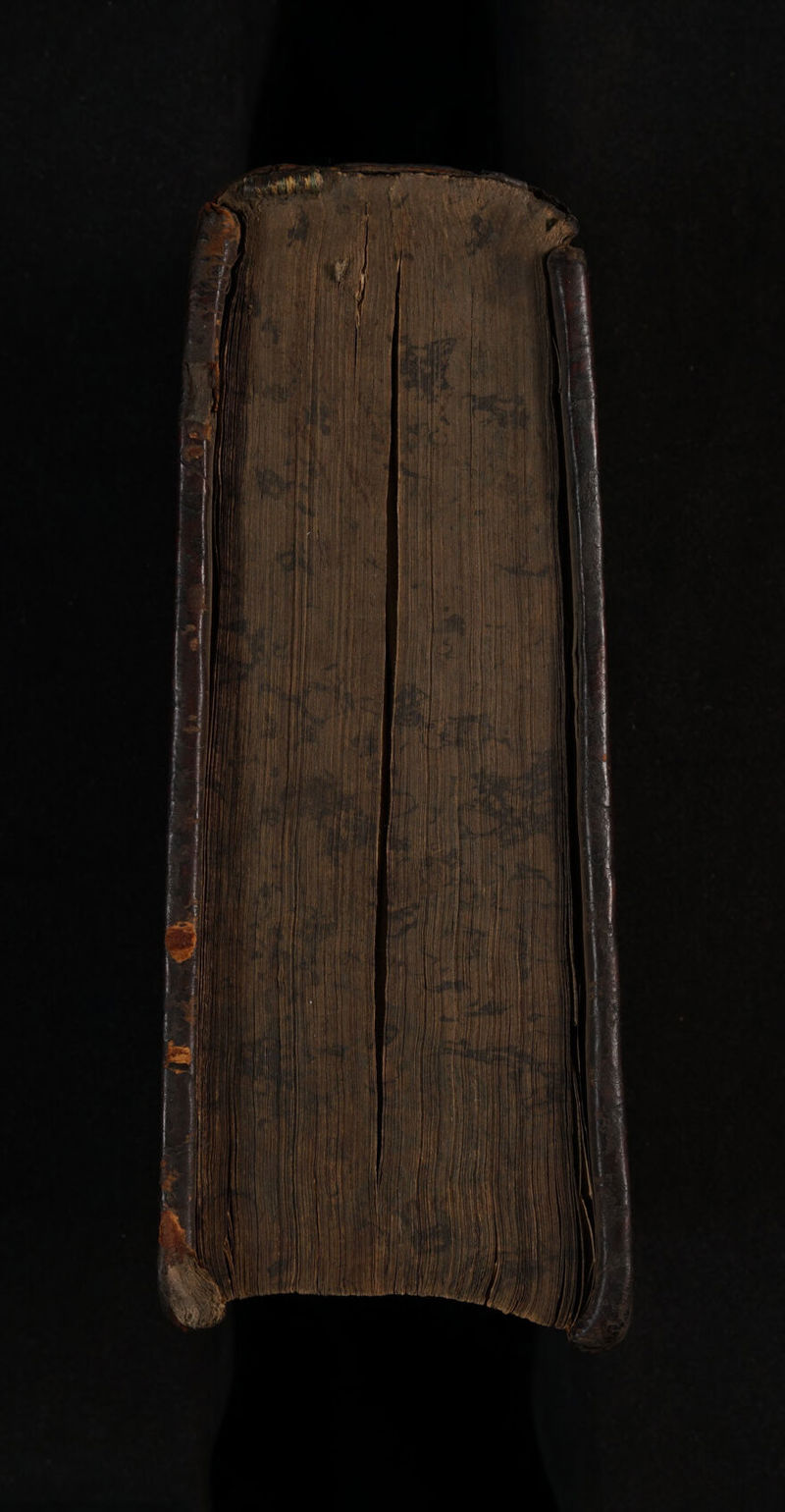 No text description is available for this image