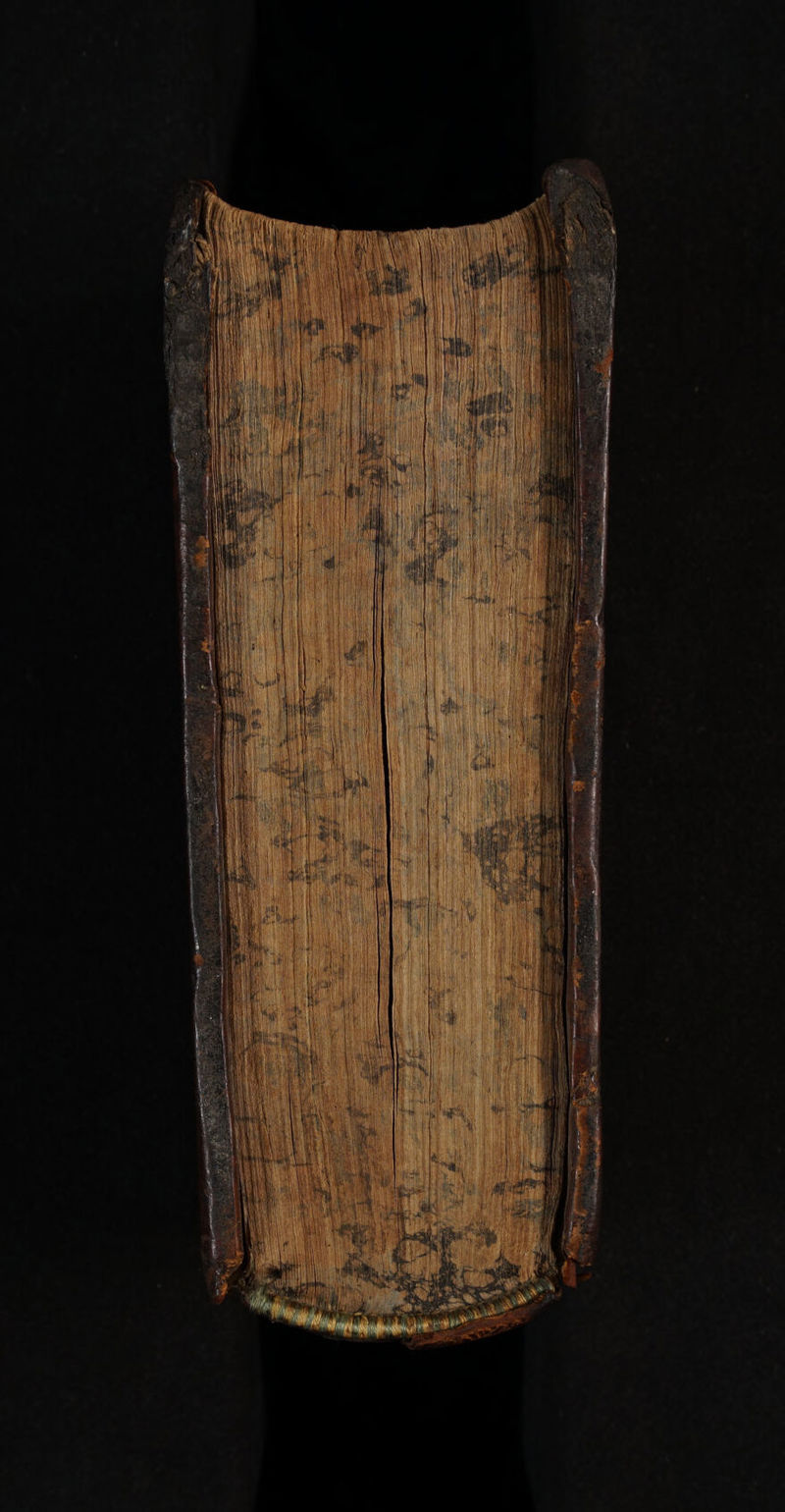 No text description is available for this image