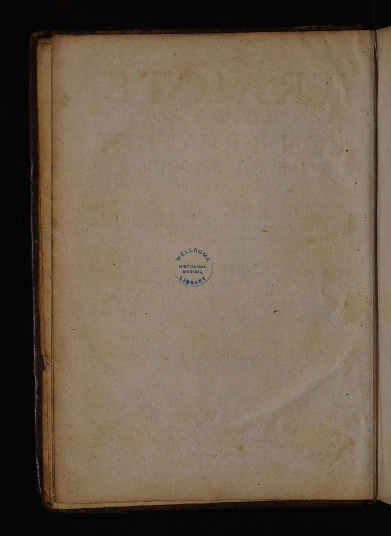 A PRET GEO RE TARN SR em HE PE