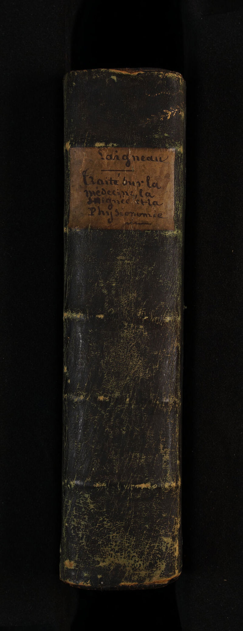 | DRE P ha: due Fan L4