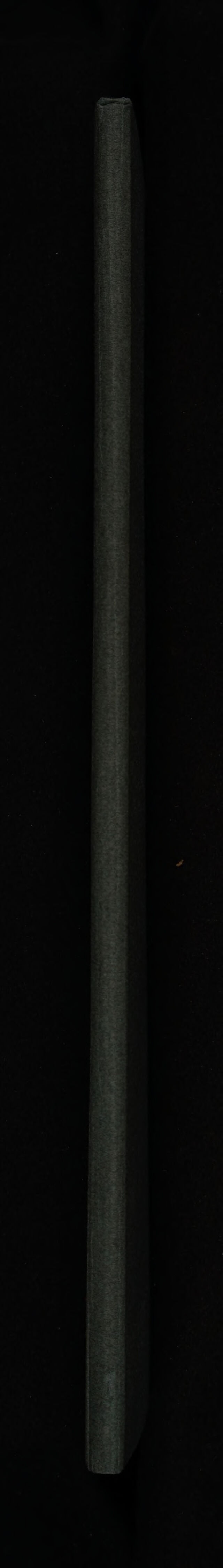 digitised image 2