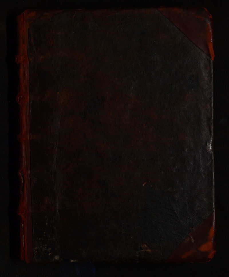 No text description is available for this image