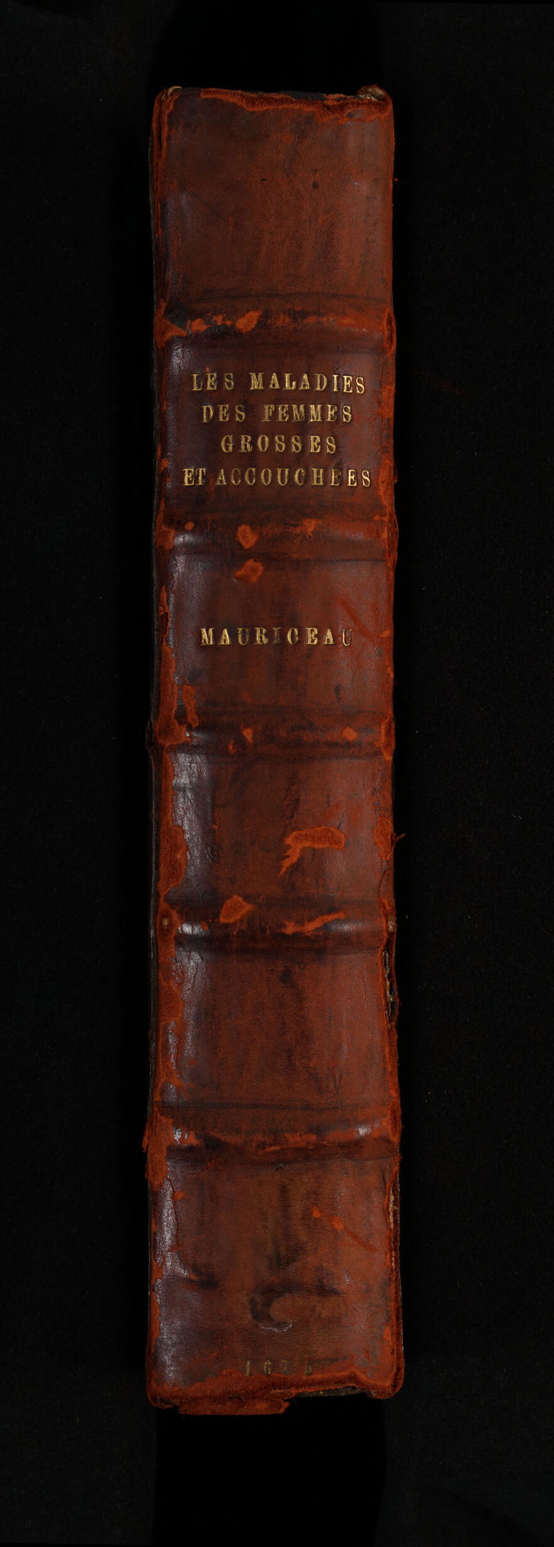 No text description is available for this image