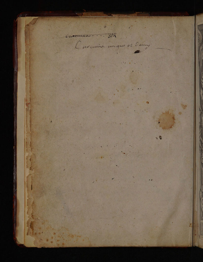 nr UIELEENNLEN a 4 { LT D amet a TE