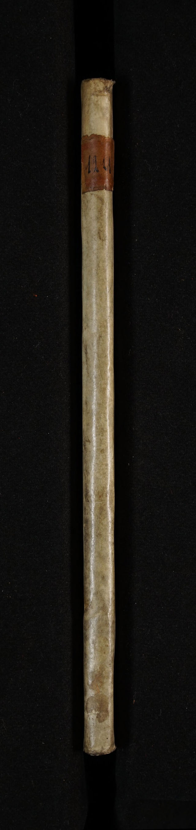 No text description is available for this image