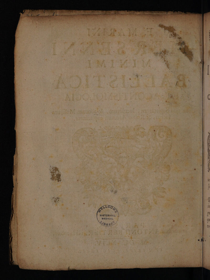 MISTORICAL MEDICAL À 4 3 D LÉ ont dits