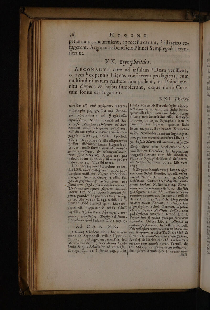 Ó € T RERA A ——— $6 Her. I. N 3 Íierunt. tum Ífonttu eas fugarunt. ezwkdves xT chó qtóuww. Tzetzes in Lycophr. pag. 57. T4 jp. 42a- So, TVAE o:n 5 T 3 xopune x ereojpuoiu. Schol. Juvenal. ad. Sat. X. 136. Apluflra tabulatum ad deco- randum navis fepevficiem adpofitum , Alii dicunt. voflra ,| navis ornamentum Pubbi. 4QAus. Confer Apollod. Lib. r. Ut probare fe ifta aliquatenus poflint, didionem tamen Hygini fi at- tendas, malisforte: quomodo Symple- gadas tranfirent ,, d columbam mittc- rent. Que petra &amp;c. Atque ita, qu« valebit idem quod ee , ut ques pro cor hàabescap.2r. Vide ibi notas. l IUivctrofugerent] Barthius ex fce- dis MSS. i//ico trafwgerent. quod pro- bandum exiflimo. Parere eft celeriter navigare. Serv.ad Georg. r. 286. Fg- gam de profcitione d curfu legimus, wt : fimul arva fugá , fimul aequora verruat. Unde vclocem equi. fugacem. dicimu:. Horat. I11, od. 2. Spernit humum fa- qiente penna. Vide praterea Virg.Georg. Iv. IQ. /En: v. r5 1. &amp; 243. Nobil. Hein- fium ad Ovid. Heroid ep.4. Illico tra- fugere eft. zogen T. azAZy. Oloff. Cyrilli, AleCé» o ; Algsipd , tra- mitto , tran(mitte. Trafugio di&amp;um, ut traZzceo opud Fulgent, Lib, :. Cap.15. Bo IA. P. dXX. a Diam] Mirificus eft in hac narra- tione de Stymphali avibus Hyginus. Infula , in quà degebant , non Dis, fed JHretias vocabatur , fi credimus A pol- lonio &amp; ejus Scholiaftze ad vers. 384. &amp; 1092, Lib. r1. Inferius cap. 3o. in XXI. Phrixi Infula Martis ab Hercule (acittis inter- fectas memorat. A pollonii Scholiaftes , quem alias fequi non raro folet, longe aliter ; non interfectas effe, fed cro- talorum fonitu ex Stymphalo lacu in eam infulam fugatas. quicum facit Etym. magni auctor in voce Xavuga- Atdts. Apollodorus autem fugatas par- tim, partim interfe&amp;tas refert Lib. 11.p. 94* Infula Martis eft Avetias , A'pe o» »Zc(9» Scholiafte Apolloniano. Ve- rum ibi non Hercules , fed Argonautze congreffi fuerunt cum his monftris, Plura de Stymphalidibus fi defideres , adi Schol. Apollon. ad rr. Lib. vers, 1055. b Ex pennis cenficerent] Lege confige - rent cum Nobil. Heinfio, hoc eft, vs/nc- rarent, Nepos Datam. cap. 9, Cenfixi ceciderunt. Curt. v1 T. $. Sagittis confi- gerent barbari. Nofter cap. 24, Ex ve- nenis multa miraculafecit, 30. Ex felle ejus fAgittas tinxit, 88. Veflem ex cruore pecudum inquinavit, In tumulo militis Batavi Lib. ri11. Cac. Pith. Da pendet in a&amp;re tclum. Et redit , ex alidfixifre- gique fagitta, Schol. German, Zquild. Dicitur fagitta Apollinis fuiffe, cum quá Cyclopas interfecit, Arnob. Lib.r. Sequentium [e millia quinque [atzravit e pawibus. DiCtys Lib. 1. ALiquid ex oratione profuturus, In Teftam. Porcell, Volo vaibi fieri monumentum ex literis an- reis fcriptum. Auctor Tra&amp;. de Siná &amp; Sion: De arundine caput ei qua[fabant, A pulej. de Herbis cap. 18. Cireumfcri- bes cava. cum. annulo aureo, Tertull. de Cor.Mil.cap.12. Ex myrto ait milites ve- dini folere. Axnob, Lib. x. In incudibus Jes