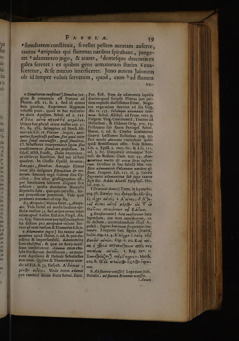 c Simultatem conftituit] Simultas jur- gium &amp; contentio eft Donato ad Phorm. act, 1r. fc. y. Sed id minus heic quadrat, Exprimere Hyginum voluiffe puto , quod in hac narratio- ne dixit. Apollon, Schol, ad. r. rrr. A 9- Au QU TC qr oszéTlq HE2o Aue. Utitur hac phrafi etiam nofter cap. 50. 67. 84. 185, Scioppius ad Sanct. Mi- nervam Lib. rv. Videtur , inquit, anti- quitus fiemificalfe patum, five quod inter dnos fimul comweni[fet , quafi fimulitas. Cl. Schefferus interpretatur Jegem frve conditionem ex fimnltate profetfam. In Gloff, MSS, Faufti, Dolus exponitur , utobfervat Barthius. Sed nec id heic quadrat. In Gloffis Cyrilli invenio, Ancus , fimultas. Aecuoy fcimus inter alia defignare flipendium d» tri- butum. Innuere ergo videtur five Cy- rilus , five alius gloffographus eft, per fimultatem laborem aliquem five athlum , qualia duodecim Herculis füpendia funt , quo quis peracto , fer- ret propofitum premium. Vide quz praterea notamus ad cap. 84. d eZ ripedes] Melius foret , e Znipe- des. Vide Heinf. ad modo laudatz epi- ftolz verfum 32. Sed erpes cervus leoas etiam apud Aufon, Eid.x1x. Virgil. An. v1. $02. Verum eum per epifynalocphen ita dictum pro aeripedem volunt Ser- yius ad eum verfum &amp; Diomedes Lib.ri. e Adamanteo 2ugco ] Ita tunica ada- ssantina apud Horat. 1, od. 6. pro du- rifima &amp; imperforabili. Adamantina funt chalybea , &amp; quz ex ferro durif- fimo conficiuntur. Zdamas enim cha- lybsfiveferrum duriffimum , ut nota- runt Apollonii &amp; Hefiodi Scholiaftes non unus, Quibus &amp; Theocriteus acce- dit ad Fid. B. 34, Hefych. A'2uas , 24 GO» mWps. Unde textus adamas pro catenáé íolido ferro Senec, Herc. ve- Fur. 808, Nam de adamantis lapidis duritie quod fcripfit Plinius jam pri- dem explofit doctiffimus Faber. Nuga- tur ergoetiam Servius ad illa Virg. JEn. v1. $52. Solidoque adamante tolu- mne. Schol. /fchyl. ad Prom. vers. 9. Fulgent. Virg. Continentiá , Tzetzes ad. Hefiodum , &amp; Ifidorus Orig. xvi. r4. Prifcianus fub finem Periegef. Schol. Horat, r. od. 6, Confer celeberrimi Grzvii Lectiones Hefiodeas pag. 95. Pari modo abezesra vocitabant quic- quid firmiffimum effet. Vide Horat. Lib. 1, Epift. r. vers, 60. &amp; Lib, 111. od. 3. 65. Conjunxit utrumque Ter- tull. de- Refurr. Carn. cap. 44. 4da- qeantinas mortis QV» encas fevas infero- rum. Ovidius in hac fabulá Met. vri. Ecce adamanteis Vulcanura naribus ef- flant. Pxopert. Lib. 111. el. 9. Colchis flagrantes adamantina fub juga tauros Egit &amp;c. Adde Alardi Epiphyll. Phi- lol. cap. 3. f Draconis dentes] Tzetz. in Lycophr. pag.36. Zzefpw vs; dy uovs IR &amp;c €i xtv QUT94 0 AÁ' m 706 d A'9n- vaz éxcus eu T0 Bip» cA V QU Oz6ne cr abívTUY v Kóuo. g Enafcerentur) Aut enafceretur heic legendum, aut mox zmterficerent, ut fit dictum , quemadmodum illud. A- puleji : Zngens bominum frequentia con- wenere, Frequens hzc figura Orzcis, Iudic. cap.11. 4. E2299,» à Ae o a1 Qavlà wwe. Cap. v. 10. Keg zr&amp;- eog on Nota GO siTe n ezow dJ€86 T94 cTEpye GUTUW. OY. Keg. XXV. f. Ewuncjpiizev?) TIG legos A. Matth. xXL,8. O'oV. arAeie B» 01,2» Eepai- gw. , h Zl flumen veniffet] Lege cum Nob. Heinfio , ad flunzet Evenum venifJet. 14nani mtt a — o P — M tn tn itd t