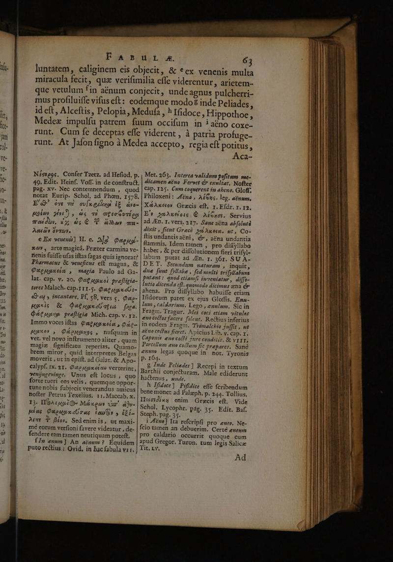 FA Néssgoc, Confer Tzetz, ad Hefiod, p. 49. Edit. Heinf. Voff. in deconftru&amp;t, pag. xv. Nec contemnendum , quod notat Eurip. Schol, ad Phoen, 1578. ' DEO c EQ ove v cv[neadua i£ avo- , e 1 [4 poloy ye? y 4$ Tq) ag eo vri oc t] e eo» ,/ mu Dh. dx 4; € UT oZAa gu- ^ s ACAQY 0VTZV. » 1 ? € Ex veneni] H. e. Y (Deteuoo- x6», arte magicá. Prater carmina ve- nenis fuiffe ufas iftas agas quis ignorat? Pharmacus &amp; veneficus. eft magus, &amp; Qxeuaxeim , magia Paulo ad Ga- lat. cap. v. 20. Qv uaixol praftigia- tores Malach. cap.111.5. Que por Uc eO- eq , incantare, Pf, $8. vers s. Q«a- , Ha*ic &amp; Q8 ua ab T6 Lo faga. Qe uoto, preftigie Mich. Cap. v. I2. Immo voces iftas Q2 ugue el ot s Qae- A59 , Q&amp;pHauos , nufquam in vet. vel novo inftrumento aliter , quam magie fignificatu reperias, Quamo- brem miror, quid interpretes Belgas moverit , ut in epift. ad Galat. &amp; Apo- , H calypf. 1x. 21. Qao uox et ow verterint, venjngevinge, Unus eft locus , quo forte tueri eos velis, quemque oppor- tune nobis fubjecit venerandus amicus nofter Petrus Texelius, 11. Maccab. x. 13. I GA uoi» Máxpos vr. dDo- , , * N 4 pius QuoeugxcUres tao» , éEi- NN ! » . . AU 3 Bio, Sedenimis, ut maxi- mé eorum verfioni favere videatur , de- fendere eam tamen neutiquam poteft, fin enum] An acuum? Equidem puto rectius ; Qvid, in bac fabula vir, j Aca- Met. 263. Interta validum pofitum. wme- dicamen a£no Fervet d exultat, Nofter Cap. I25. Cum coquerent 1n abeno. Gloff; Philoxeni: J£zz , A£Cs. leg. agnum, X&amp;Axeo» Grecis eft, r. Efdr. r, 12, E'? »-Axtoi6. € AiGsoi. Sérvius ad JEn. I. vers. 217. Sane ana abfoluté dixit , ficut Gracé qb Axe. zt, Co- ftis undantisaéni, &amp;*, acna undantia flammis, Idem tamen , pro diflyllabo habet , &amp; per diffolutionem fieri trifyl- labum putat ad JEn. r. 36r. SU A- DET. Seczadum naturam , inquit, due funt (yllabe , fed vaulti trifyllabuna putant: quod etiamfi inveniatur, difo- Iutio dicenda eft. quomodo dicimus ena d» ahena. Pro diflyllabo habuiffe eriam Ifidorum patet ex ejus Gloffis, Esa- lum , caldarium. Lego , enulum. Sic in Fragm. Tragur. Mei coci etiam vitulos eno coCTos facere. folent, Re&amp;tius inferius in eodem Fragm. Tiimalchio Ju[fit , ut a£n0 CoC'us fierct. Avicius Lib, v, cap. T. Capowis eno coffi jere conditis. &amp; vXYT, Porcellum eno co&amp;]um fic brapares. Sané enum legas quoque in not. Tyronis p. 164. g Inde Peliedes] Recepi in textum Barthii conjecturam. Male ediderunt hactenus, sade. h lfidote] Pifidice effe fcribendum bene monet ad Palzeph, P: 244. Tollius, Ilec22|»5 enim Grecis eft. Vide Schol. Lycophr. pág. 35. Edit. Baf. Steph. pag. 35. 1 Aene] Ita refcripfi pro «neo. Ne- fcio tamen an debuerim. Certe ene pro caldario occurrit quoque cum apud Gregor. Turon. tum legis Salica: Tit, Lv. Ad
