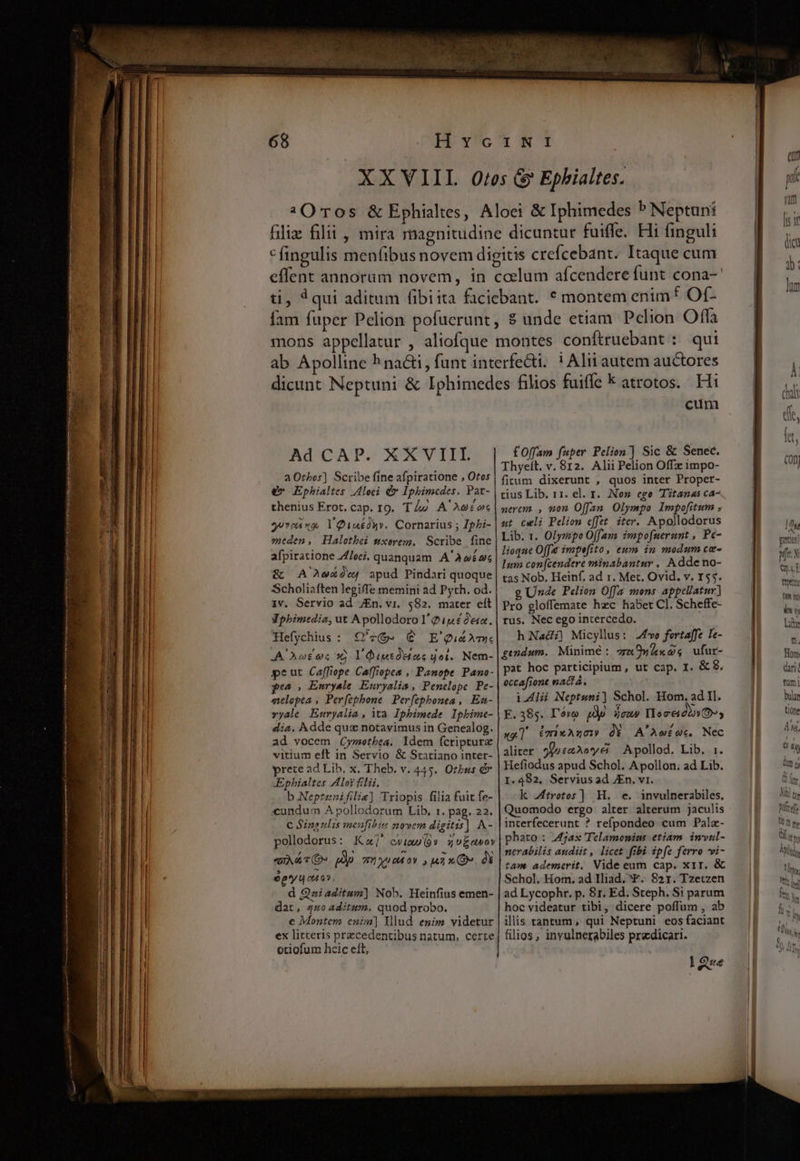 aO0tbos] Scribe fine afpiratione , Otos e* Ephialtes loei d Iphimcdes. Par- thenius Erot. cap. rg. T4/ A'Ae£os guvp ng, lQiut£ónv. Cornarius ; Zpbi- meaen, Halothei mxerem, Scribe fine afpiratione Z/Joci, quanquam A'Awéa &amp; A Awaóv4 apud Pindari quoque Scholiaften legiffe memini ad Pyth. od. iv. Servio ad JEn. vi. 582. mater eft dphimtdiz, ut Apollodoro l'G (sé 2e. Hefychius : £Yz&amp;- € E'QugAm« JA A c€ v x l'diutódoc got. Nem- peut Caffiope Caffiopea , Panope Pano- pes , Enryale Euryalia , Penelope. Pe- «elopea , Perfephone | Perfephonea , Ea- vyale Euryalia , ita Ipbimede Iphime- dia. Adde quz notavimus in Genealog. ad vocem (Cymetbea. ldem fcriptura vitium eft in Servio &amp; Statiano inter- yprete ad Lib. x. Theb. v. 445. Ozbus d .Ephialtes Aot filii, b Neptinifilis) Triopis filia fuit fe- cundum A pollodorum Lib, r. pag. 22. € Sinsulis menfibus novem digitis] A- pollodorus: Ka cvimu Qv zo£dasov «Aer o mystery , ix PX JLLLALL d Qaiaditum] Nob. Heinfius emen- dat, 440 aditum. quod probo. e Montem enim] NMlud enim videtur ex litteris precedentibus natum, certe otiofum hcic eft, cuni Thyeít. v. 812. Alii Pelion Offz impo- fitum dixerunt , quos inter Proper- tius Lib. 11. el. I. Nez ege Titanas ca- aerem , mon O[ffan. Olympo Impofitum ; ut cwli Pelion effet. iter. Apollodorus Lib. t. Olympo Offam impofuerunt , Pc- lioque Off impefito, ewn in modum ce- Ium con[cendere minabantur . Adde no- tas Nob. Heinf, ad 1. Met. Ovid. v. 155. g Unde Pelion Offa mons appellatur] Pro gloffemate hzc haber Cl. Scheffe- rus. Nec ego intercedo. h Nad;]) Micyllus: 24vo fertaffe Ie- gendum. Münimé : PLI APT, ufur- pat hoc participium , ut cap. I. &amp; 8. eccafione nactá, i.4lii Neptuni] Schol. Hom, ad Il. F. 38s. I'éso m coU IIoceidby o», xa] mixAncw OY A'Aefac Nec aliter. 9focaAo'ye Apollod. Lib, 1. Hefiodus apud Schol. Apollon. ad Lib. I.482. Servius ad JEn. v1. k trotos] H. e. invulnerabiles. Quomodo ergo alter alterum jaculis interfecerunt ? refpondeo cum Pala- phato : 4djax 'Telamonius etiam. invul- nerabilis audiit , licet fibi ipfe ferro vi- Schol. Hom. ad Iliad. ^F. 821. Tzetzen ad Lycophr. p. 8r. Ed. Steph. Si parum hoc videatur tibi, dicere poffum , ab illis tantum, qui Neptuni eos faciant filios, invulnerabiles pradicari. lQre