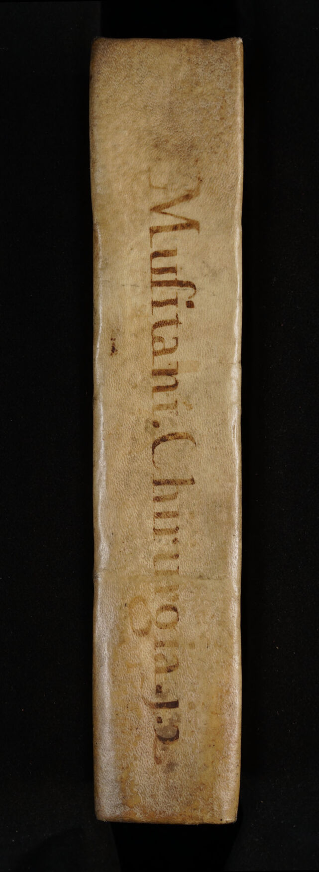 No text description is available for this image