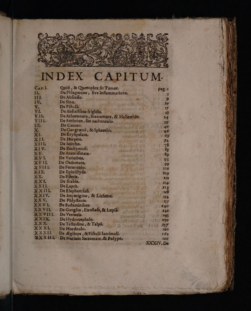 XXXL X X XII. Quid , &amp; Quotuplex fit Tumor. DePhlegmone ; five Inflammatione; De Abfceflu. De Sinu. De Fiftu]à; De Abfceffibus frigidis. De Atheromate , Steatomate, &amp; Melicetide;- De Anthrace feu catbunculo. De Cancto. De Gangraná , &amp; Sphacelo;- De Eryfipelate.: | De Herpete, DeScitrho. — De Ecchymofi: De Aneürifniate.: De Varicibus, De Oederfiate, De Fürunculo.- De Epini&amp;yde.- De Efferis. De Scabie.: De Leprá. | DeEleplantiafi.;. — — — De Impetigine, &amp; Lichenei De Phly&amp;enis. DeSudaminibus. ... fs De Ganglio , Exoftofe; &amp; Lupià | De Verrucis. YS De Hydrocephalo. De Teftudine, &amp; Talpáà;. De Hordeolo. De J£gilope , &amp;Fiftulà lacrimali. De Narium Satcomate;&amp; Polypo; XXXIV, De Dos - t ABER EE. UN adi 2 - DATE TE 3 X902 x TENIS wa Vo EU C ES XC versn. ICA ' - —— yenesp, 74 d zu res o NS Ls c ail ay