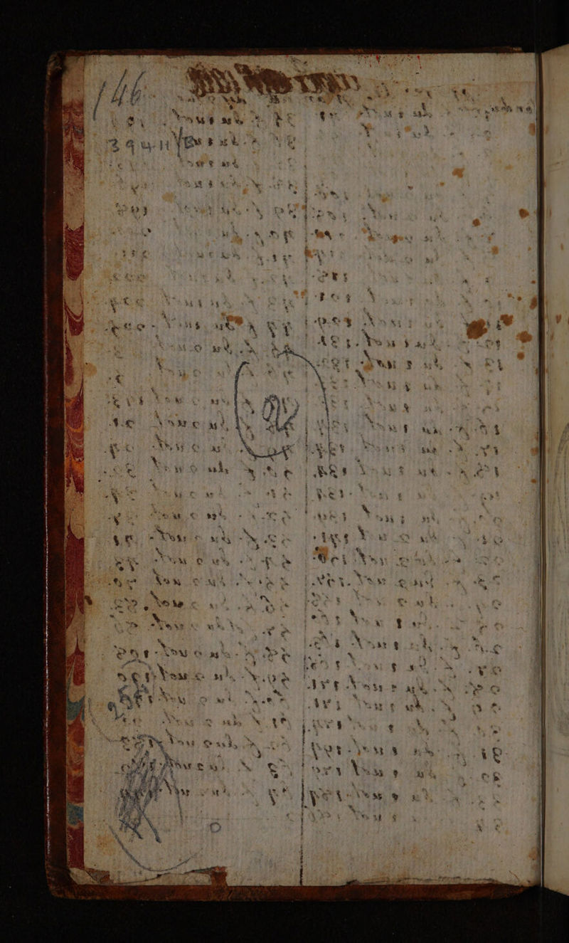 No text description is available for this image