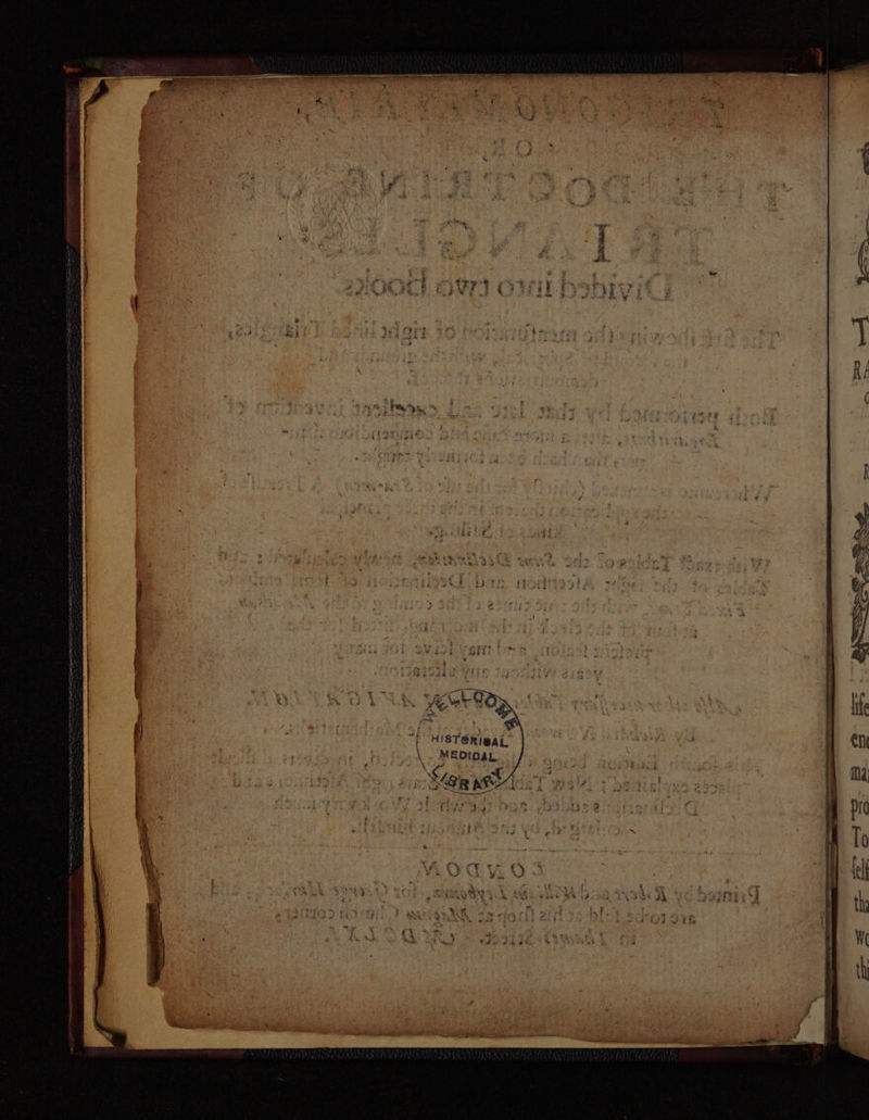 2 RT ETT REE AE SEIN NT sf 4 Pe) IN staal eas aia ON Lae iia a SN a