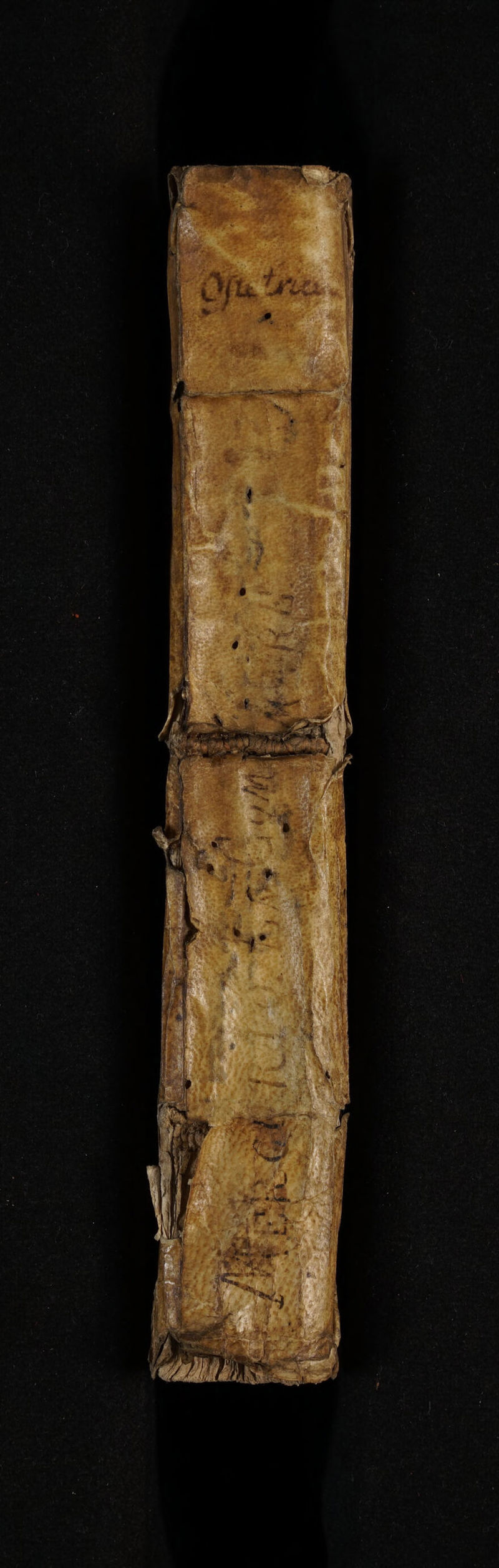 No text description is available for this image