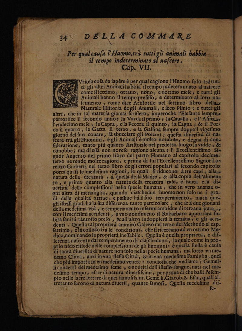 Time iafiimepa iran PA, TE senditaia a sega nnt vw ti P ade E - S _ x PRIA AR Di TBE ZE zoro a REA Csi 34° DELLA COMMARE \ LAMA I Per qual caufa lHuomo.trà ngi animali habbia il tempo indeterminato al nafcere . Cap. VII. t=SVriofa cofa da fapère è per qual cagione l'Huomo folò trà tut= NESZ come ilfettimo, ottano; nono; e decimo mefe; ‘e tutti gli GN Animalihanno il tempo prefiffo ; e determinato al loro:na- el? fcimento ; come dice Ariftotile nel fettimo: libro ‘dellazs —— Naturale Hiftoria degli Animali, e feco Plinio ; e'tutti gli altri, chein tal materia giamai fcrillero 3 imperoche l’Elefante femprew partorifce il fecondo anno? la Vaccailprimo:; la Caualla ; el’ Afinab» l’vadecimo mefe + laCapra, elaPecora il quinto, la Cagna, &amp;il Por» coil quarto , la Gatta il terzo, e la Gallina fempre doppo’! vigefimo {cere trà gli Huomini, gli Animali è molto notabile; ‘e degna di con. fideratione, tanto'più quanto Ariftotilenel predetto luogo fa vidde , conobbe; mà di effa non: ne refe ragione: alcuna 5 1° Eccellentiffimo Si gnor Augenio nel primo libro del parto Humano al capitolo :decime- tetzo nerende molteragioni, e prima di lui l'Eccellentiffimo SignorLo= renzo Gioberti nel terzo libro de gli errori populari al fecondo capitolo porta quafi le medefime ragioni, le quali firiducono: àtrè capi ; alla natura della creatura ;:à quella della Madre', ‘&amp;-allacopia dell’alimena to , &amp;‘prima quanto alla natura della creatura ‘tale, è tanta. ela die uerfità delle compleffioni ‘nella fpecie humana , che in vero auanza o- gni altra di meraviglia , quando ciafchedun ‘ihuomonon folo ne i gra- di delle ‘qualità attiue, e paffiue hailfuo temperamento ;. main que- gli iftefli gradi hà la fua differenza tanto particolare , che feà due giouani dellamedefima età , e temperamento infermi ambidue diterzana pura; con li medefimi accidenti, a vno nondimeno il Rabarbaro :apportara fu= bita fanità:tantofto prefo' , &amp;all’altro indoppieràlaterzana e gli acci- denti. Quefta tal proprietà ammirò Galeno nel terzo delMethodo.al cap. fettimo, ela collocò trà le conditioni; ‘che firicercano ad vn ottimo: Me- dico,nominando la proprietà ineffabile. Quefta è quella proprietà; e dif ferenza nafcente dal temperamento di ciafcheduno, la quale come in pro- prio nido rifiede nelle complefsioni de gli huomini: è quefta ftefla è caufa di tanta diuerfità dinature nonfolo nella {pecie humana, ma fotto vnme+ demo Clima, anziirivna ftela Città, &amp;invna medefima Famiglia , quel che più importa in vnmedefimo ventre : conciofia che vediamo i Gemel- liconcettì del naedefimo: feme », enodriti dell’ifteffoi fangue, nati nel me- defimo tempo; efser dinatura diuerfifsimi, perproua di che bafti l’efem- -pio nelle facre lettere di quei famofifsimi Gemelli,Giacob,&amp; Efau, qualial- ‘tretanto furono dinatura diuerfi , quanto famofi, Quefta medefgie dE s n . Ce |