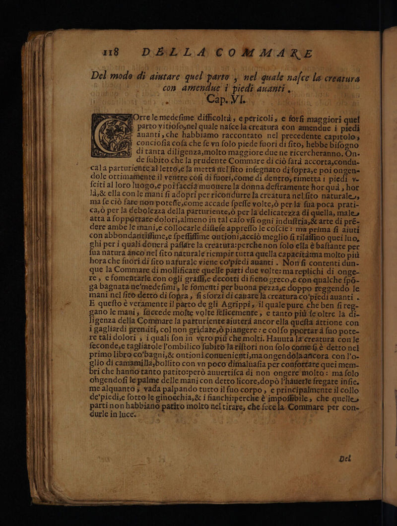 se ia MERE E pesa: SSR SRrETa Sr rn vi e nie mi = 1188 DALLA COMMARE Del modo di aiutare quel'parto ) nel quale nafce la creatura con amendue i piedi quanti, tal Cap. VI. Norte le medefime: difficoltà; e pericoli ; e forfi maggiori quel SON: parto vitiofo,nel quale nafce la creatura con amendue i piedi : auanti, che habbiamo raccontato nel precedente capitolo; > conciofia cofa che fe vn folo piede fuori di fito, hebbe bifogno ren; ditanta diligenza,molto maggiore due ne ricercheranno. On- de fubito che la prudente Commare di ciò farà accorta,condu- cala parturiefte allettose la mertàmelfito infegniato difopra;e poi ongen= dole ottimamente il ventre cofi di fuori, come di dentro,rimetta1 piedi v- fciti alloro luogo,e poifacci muonere la donna deftramente hor quà, hor là,&amp; ella conle mani fi adopri perricondurre la creatura nelfito naturale, ma fe ciò fare nompoteffe,come accade fpefle volte,ò perla fua poca prati- ca,ò per la debolezza della parturiente,ò perla delicatezza di quella, male, atta a foppertatedolori,almeno in tal cafo vfi ogni induftria,&amp; arte di pré- dere ambe le mani,e collocarle diftlefe appreflo le cofcie: ma prima fi aiuti con abbondaritiffime,e {pefliffime ontioni,acciò meglio fi rilaffino queiluo, fua natura anco nel fito naturale riempir tutta quella capacità:ma molto più hora che fuori di fito naturale viene co'piedi ananti . Norifi contenti dun- que la Commare di mollificare quelle parti due volte: mareplichi di onge- re, c fomentarle con ogli graffiledecotti di fieno greco,e con qualche fp6- ga bagnata ne'medefimi) le fomenti per buona pezza,e doppo tegsendo le E quefto è veramente il parto de gli Agrippi il qualepure che ben fi reg- gano le mani; fticcede molte volte felicemente , e tanto più feltre la di- Jigenza della Commare la patturiente aiuterà ancorella quefta attione con 1 gagliardi premiti, colnon gridate,ò piangere :e colfo pportar à (uo pote- re talidolori ; i quali fon in vero più che molti. Hauuta la°creatura conle feconde,e tagliatolel’ombilico fubitotariftori nonfolo comefi è detto nel primo libro co'bagni,&amp; ontioniconuenienti,maongendolaaficora con l’o- glio di camamilla;bollito con vn poco dimaluafia per confottare quei mem- bri che hannotanto patito:però auuertifca di non ongere molto : ma folo ohgendofi le palme delle mani con detto licore,dopò lhauerte fregate infie. me alquanto 5 vada palpando tutto ilfuo corpo ; e principalmente il collo de’piedi,e fotto le ginoechia,&amp; i fianchi:perche è impoffibile» che quelle» partinon habbiano patito molto nel tirare, che fece la Commare per con- durle in luce. Del = ne rt rr pe