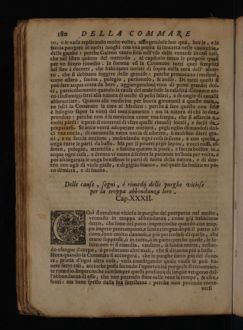 sù Ne + < ps ni: PETITE 4 agio rana 180 DELLA COMMARE to; elevadareplicando molte volte; affingerdole hor qua; horla ; ‘ele faccia pungere in molti luoghi con vna punta dilancetta nelle canicchie» delle gambe : perche Galeno tanto fidò nell’vfo delle ventofe incafi tali, che nel libro quinto del mettodo , al capitolo terzo le propofe quafi per vn ficuro rimedio . In fomma vfi la Commare tutti quei femplici nel fare i decotti , che habbiamo notati di fopra nella cura dell’ abor= to , che fi debbano fuggire delle granide: perche Pretiozzoo i melt 5 come affaro , fauina , pulegio , perfemolo; &amp;anifo. Di tutti quefti fi può fare acqua cotta da bere, aggiungendouivino di pomi granati dol» ci, particolarmente quando la caufa del male foffe la calidità .Gionano an- co i{uffumigi)fatti alla natura di occhi di pefci falati, e di ongie di caualli abbrucciate. Quanto alle medicine per bocca gioueuoli à quefto maless ne lafci la Commare Ja cura al. Medico : perche à fare quefto non. fol è bifogno faper la virtù del medicamento : ma la natura di chi lodee» prendere : perche non è la medicina come vna fcarpa, che fi affaccia as molti piedi: e però ficontenti di vfare quefti rimedij locali; e facili da, prepararfi. Seanco vorrà adoperare ontioni, piglioglio dimandoli dol- ci vnaoncia, dicamamilla meza oncia di zibetto ; ò mufchio dieci gra- ni» e ne faccia ontione , mefcolando ogni cofainfieme, è con quella» onga tutte le parti dabaflo. Ma per li poueri pigli Iapini, ececiroffi, af- fenzo, pulegio, artemifia, e Sabina quanto le piace , e faccia bollire in acqua ognicofa, e drento vi metta à federe la patiente vn’hora per volta, e poi afciugatala le onga beniffimo le parti di fuora della natura, e di den- tro conogli di viole gialle, e digiglio bianco ; nelquale fiabolito vn po» Delle caufe , fegni, e rimedij delle purghe cvitiofe per la troppa abbondanza loro. Cap.XXXII. = Wi Osì firendono vitiofe le purghe del puerperio nel molto‘, 2/4) venendo in troppa abbondanza ; come già habbiamo re, prima d'ogni altra cofa, vadainueftigando quale caufa fe può ha- uere fatto tali, accioche poffa fecondo l’oportunità porgerle il conuenien- te rimedio.Impercioche nonfempre quefti profivuij di fangue vengono dal- l'abbondanza di effo , che non potendo ftare nelle. venelerompe, &amp;efces fuori: ma bene fpeffo dalla fua fottilezza : perche non potendo ig nerfi